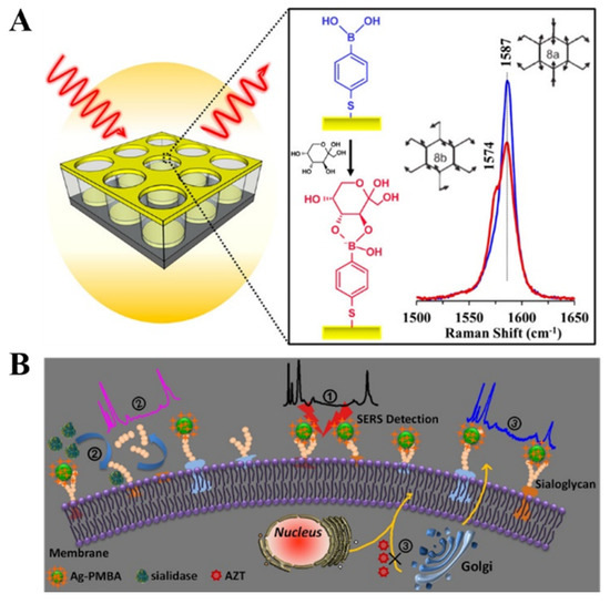 Biosensors with Boronic Acid-Based Materials as the
