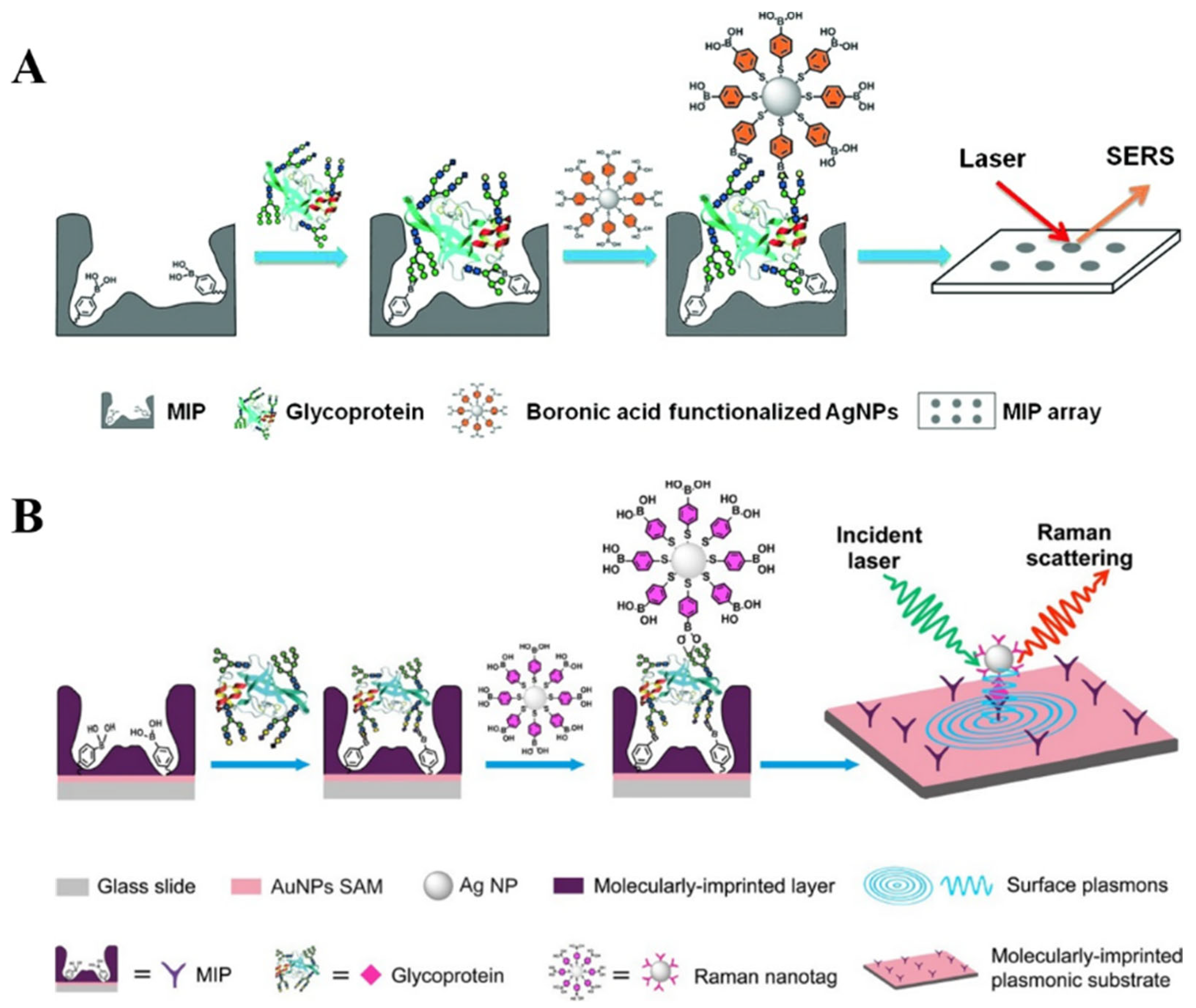 Biosensors 13 00785 g017