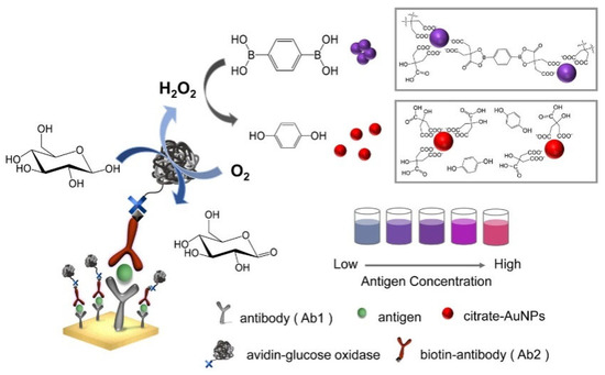 Biosensors with Boronic Acid-Based Materials as the
