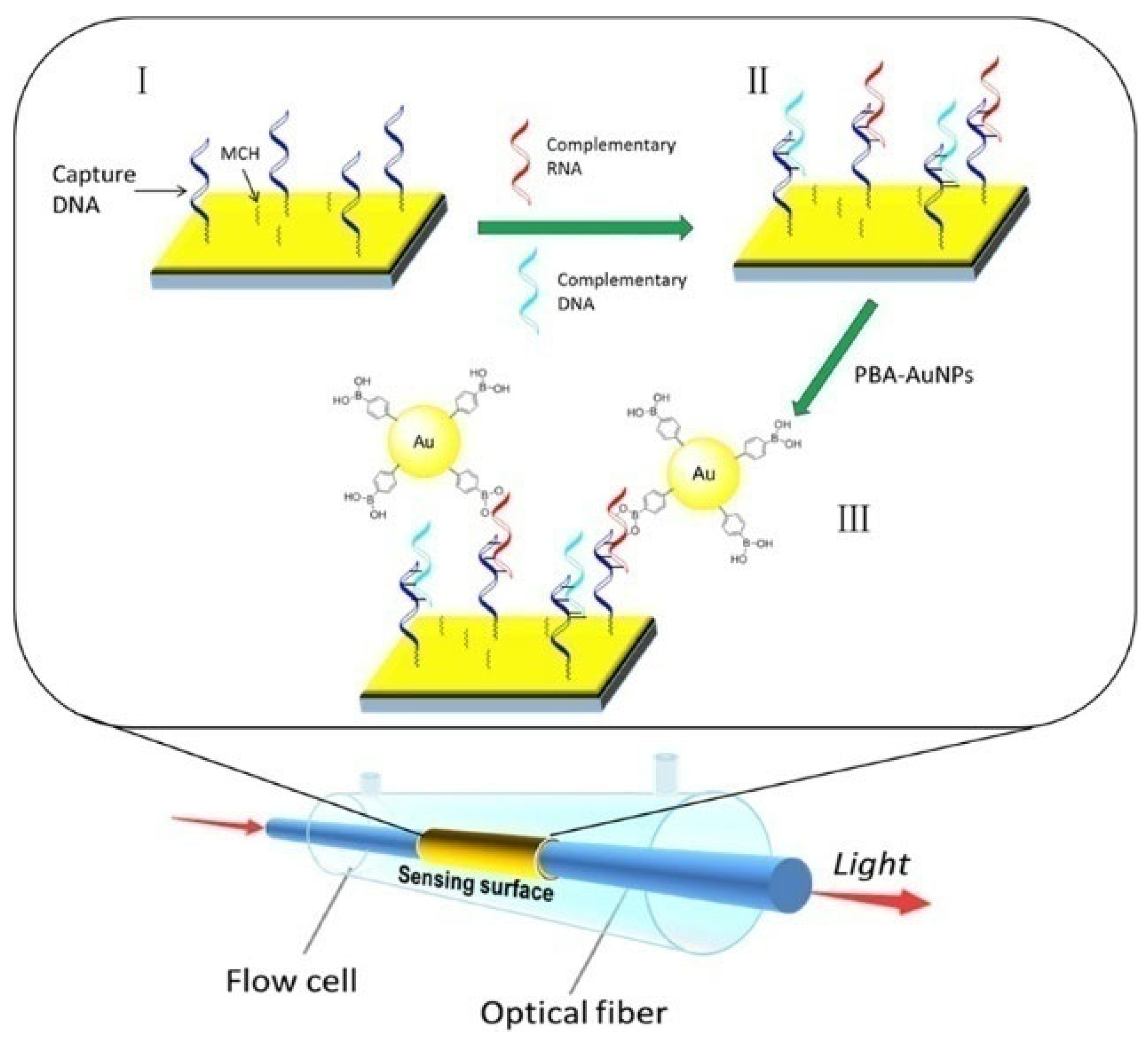 Biosensors 13 00785 g024