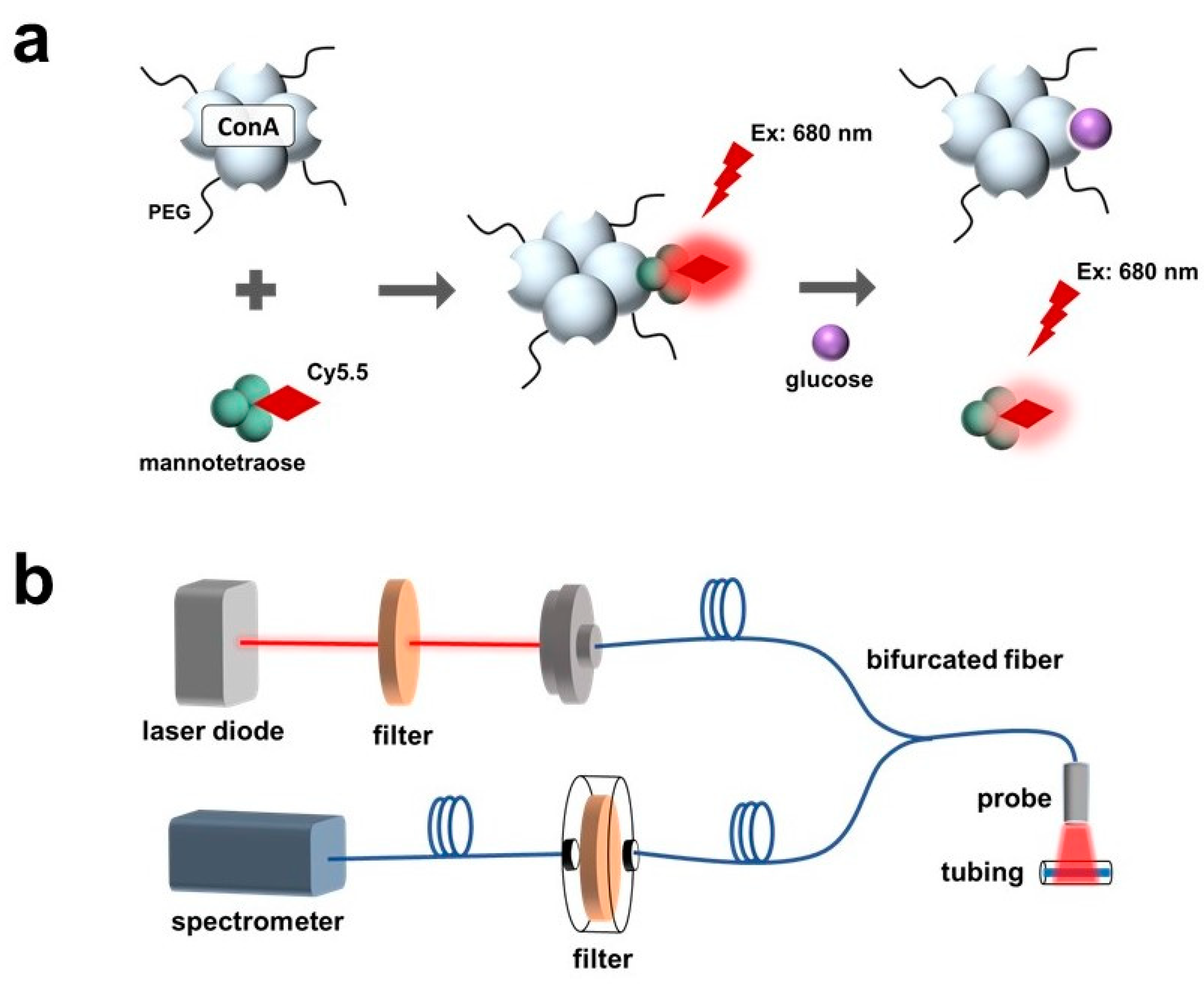 Biosensors 13 00788 g001