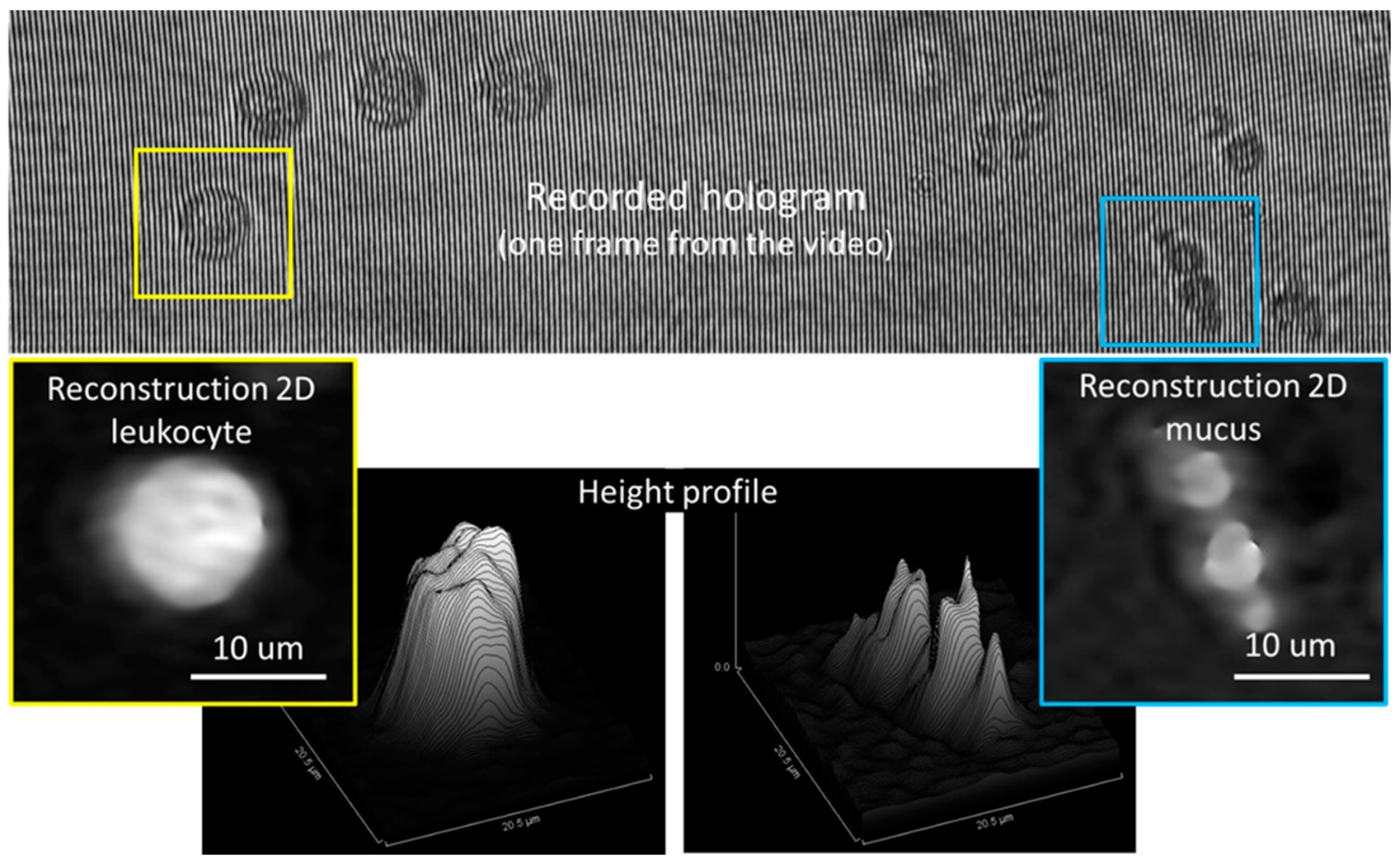Biosensors 13 00789 g002