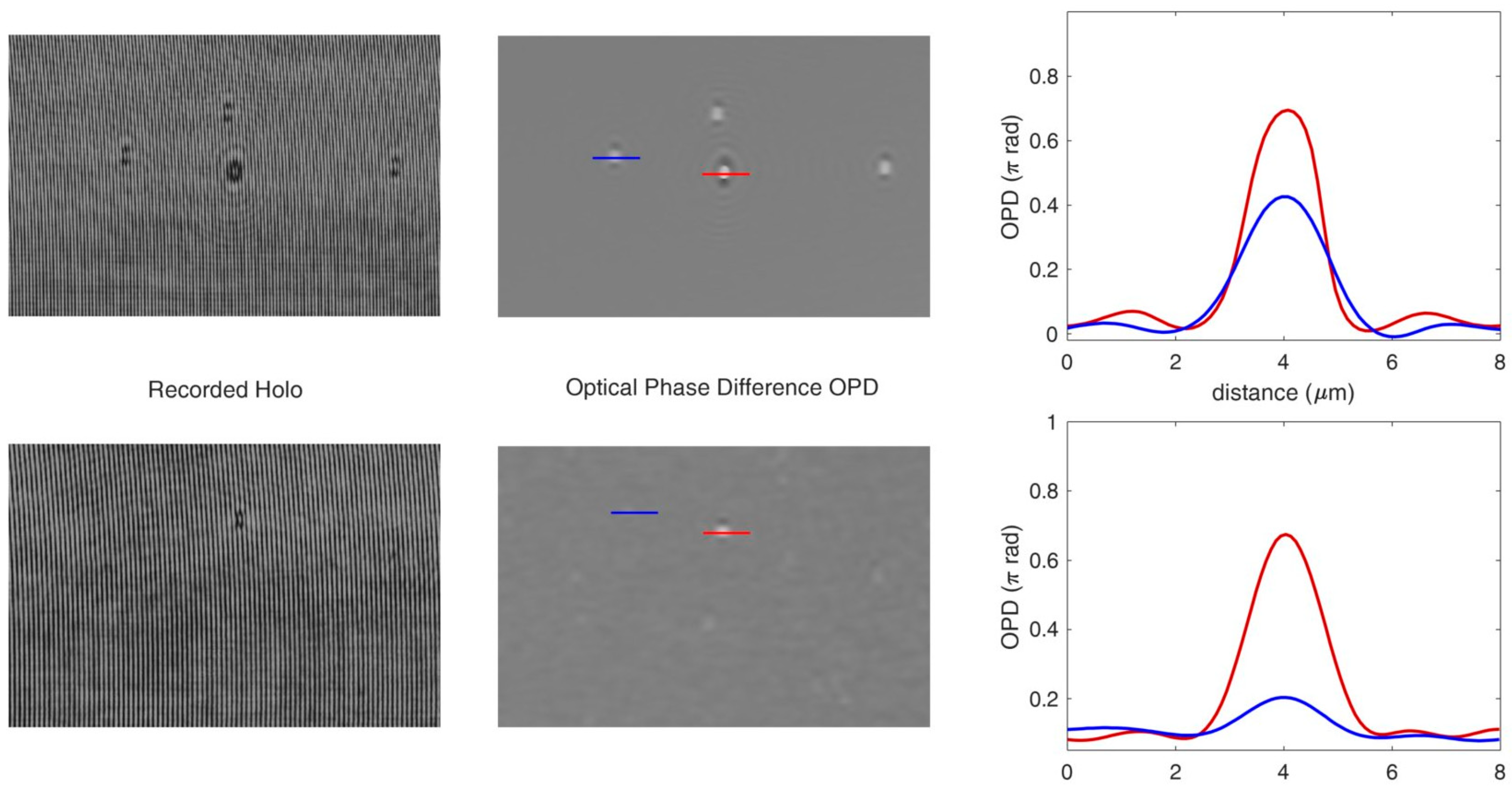 Biosensors 13 00789 g003
