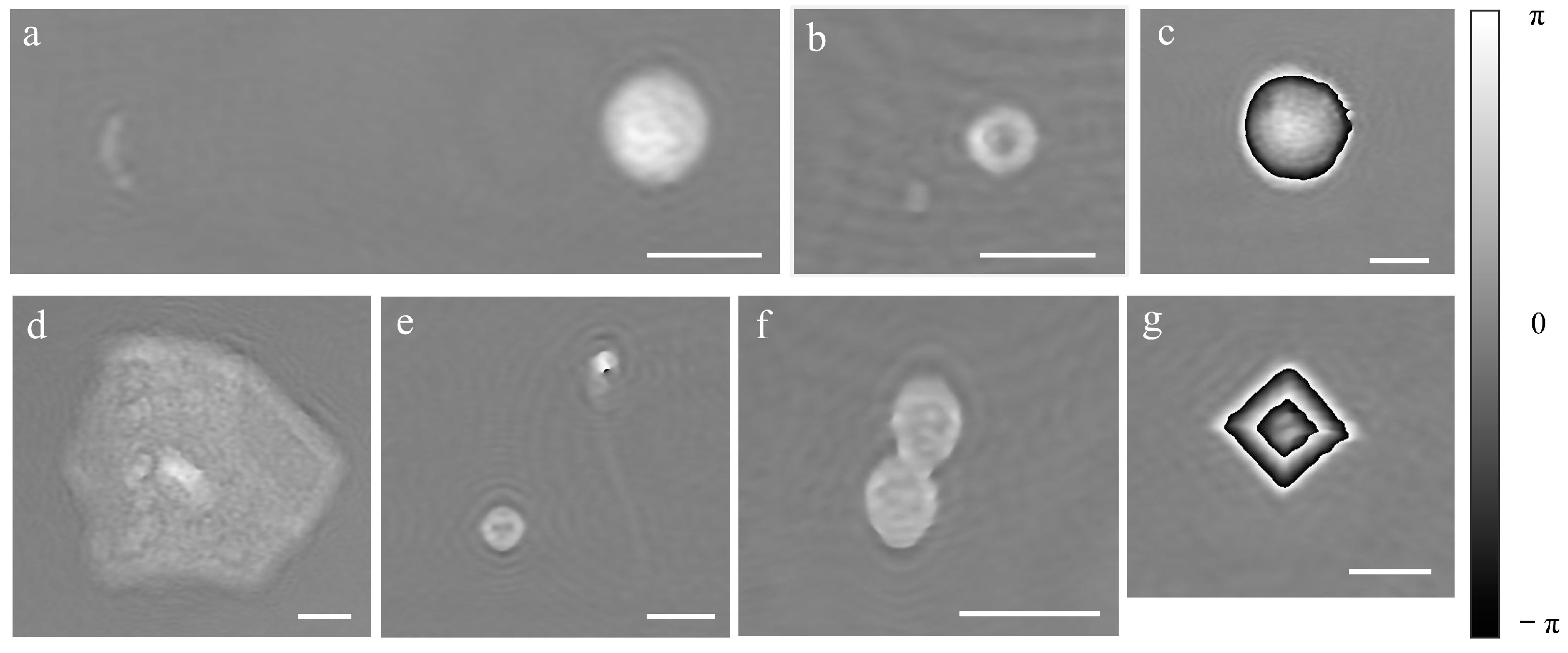 Biosensors 13 00789 g004