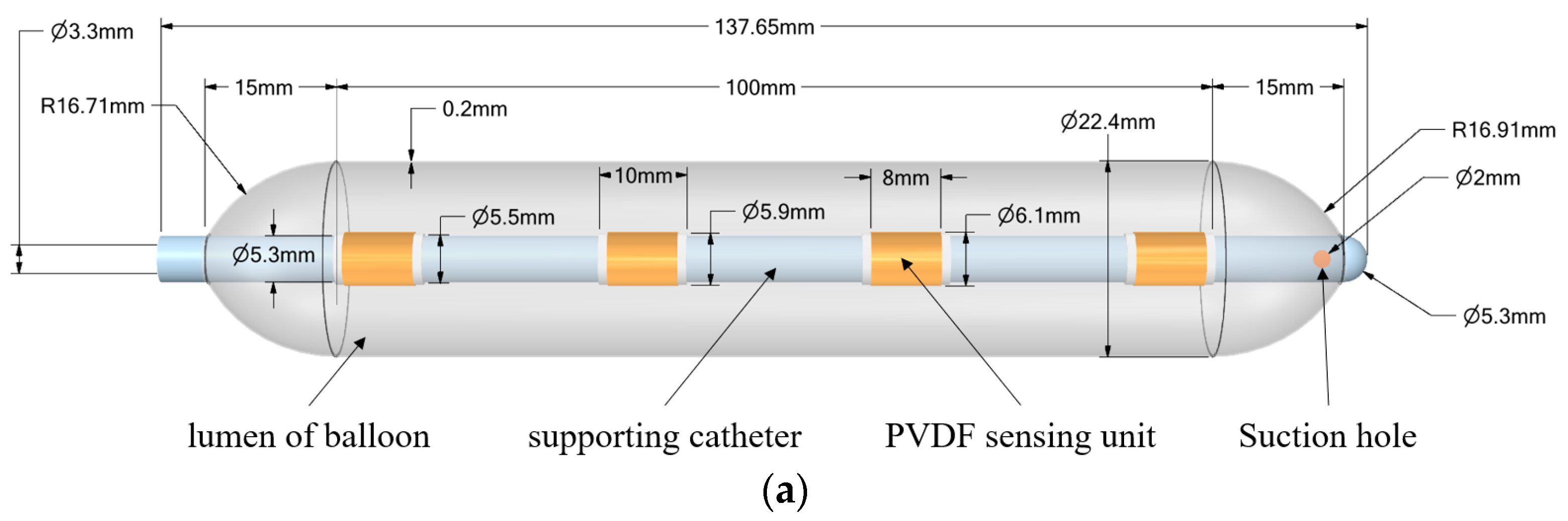 Biosensors 13 00791 g001a Biosensors 13 00791 g001a