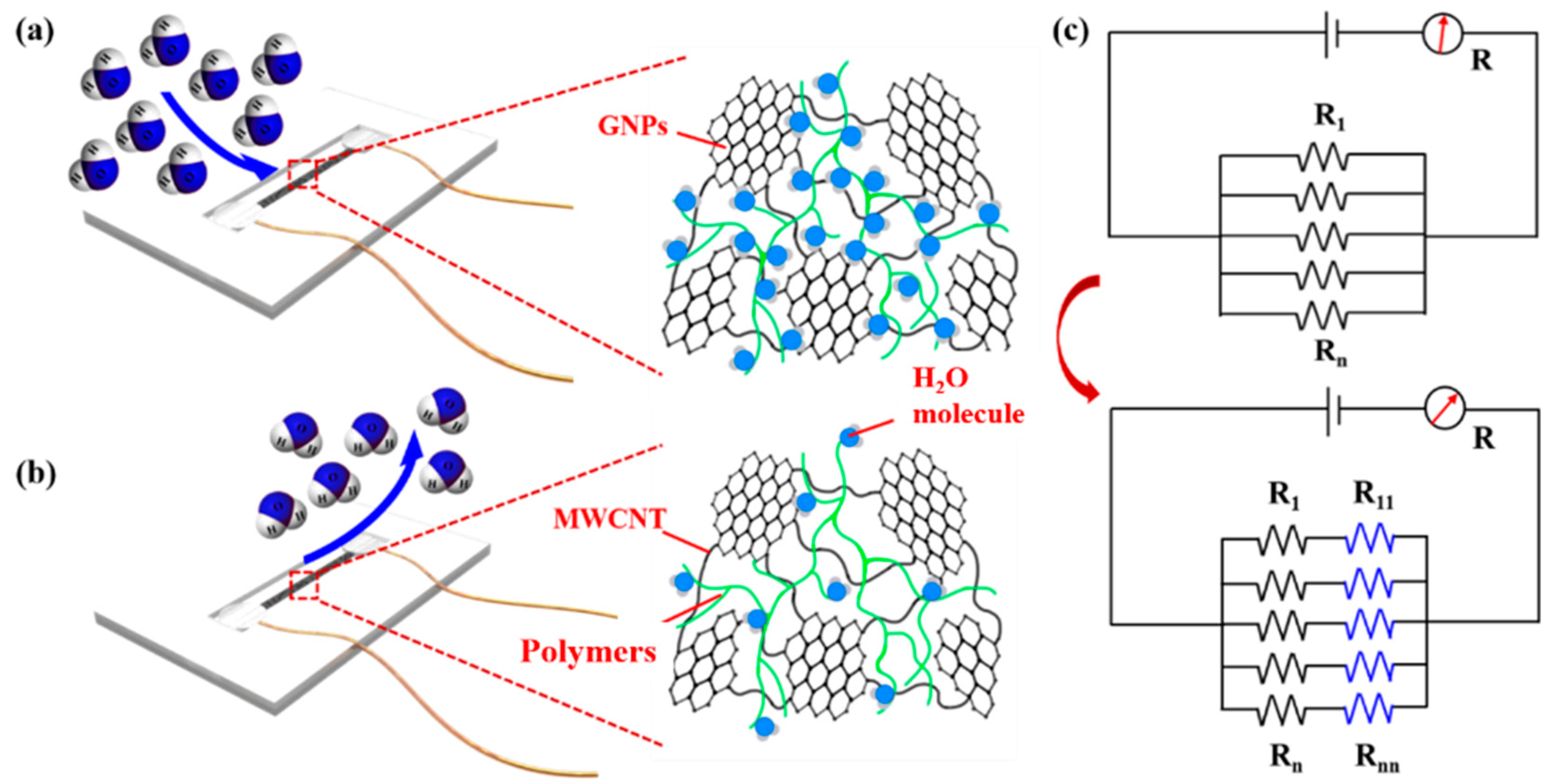 Biosensors 13 00792 g006 Biosensors 13 00792 g006