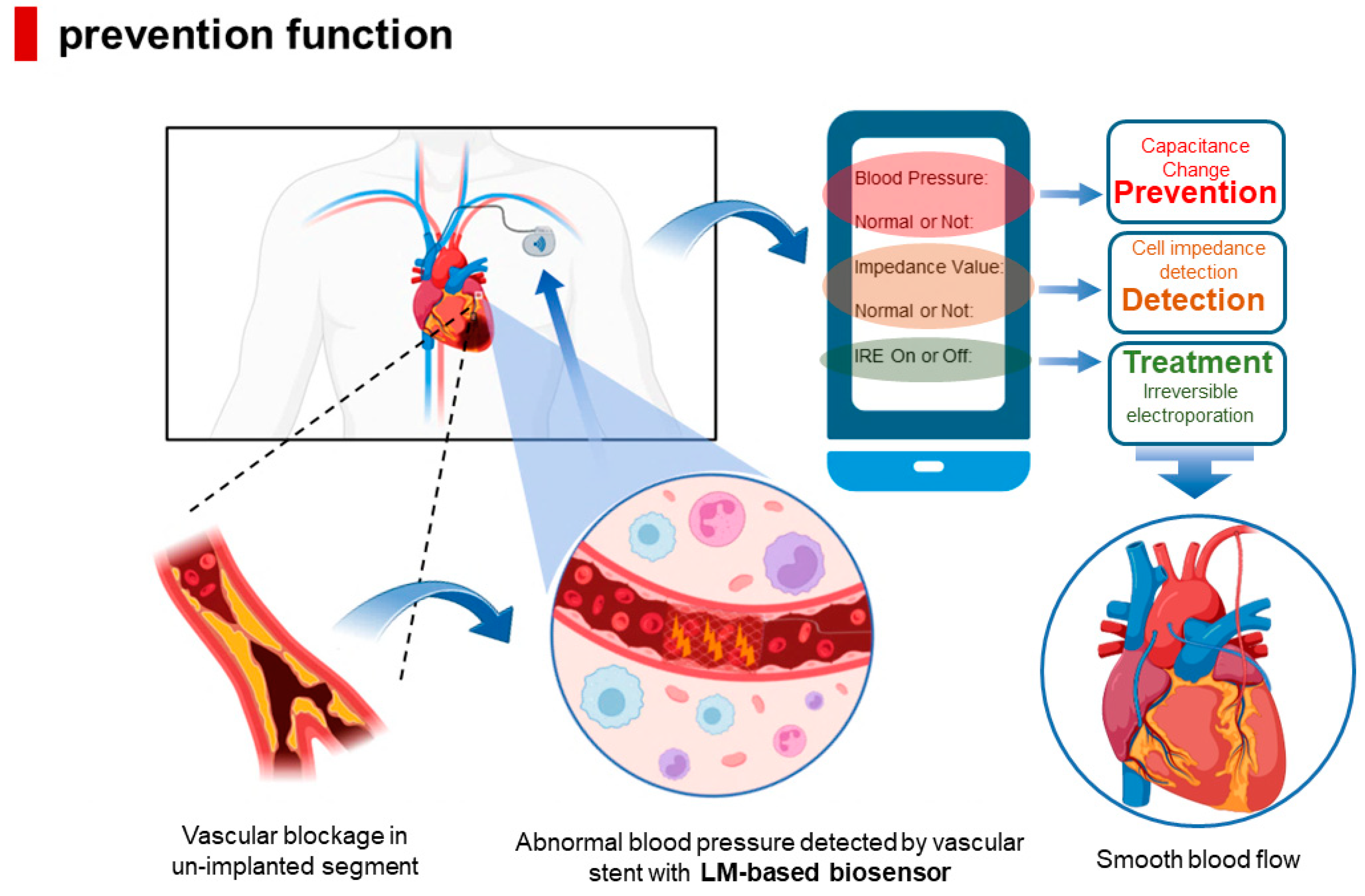 Biosensors 13 00795 g006 Biosensors 13 00795 g006