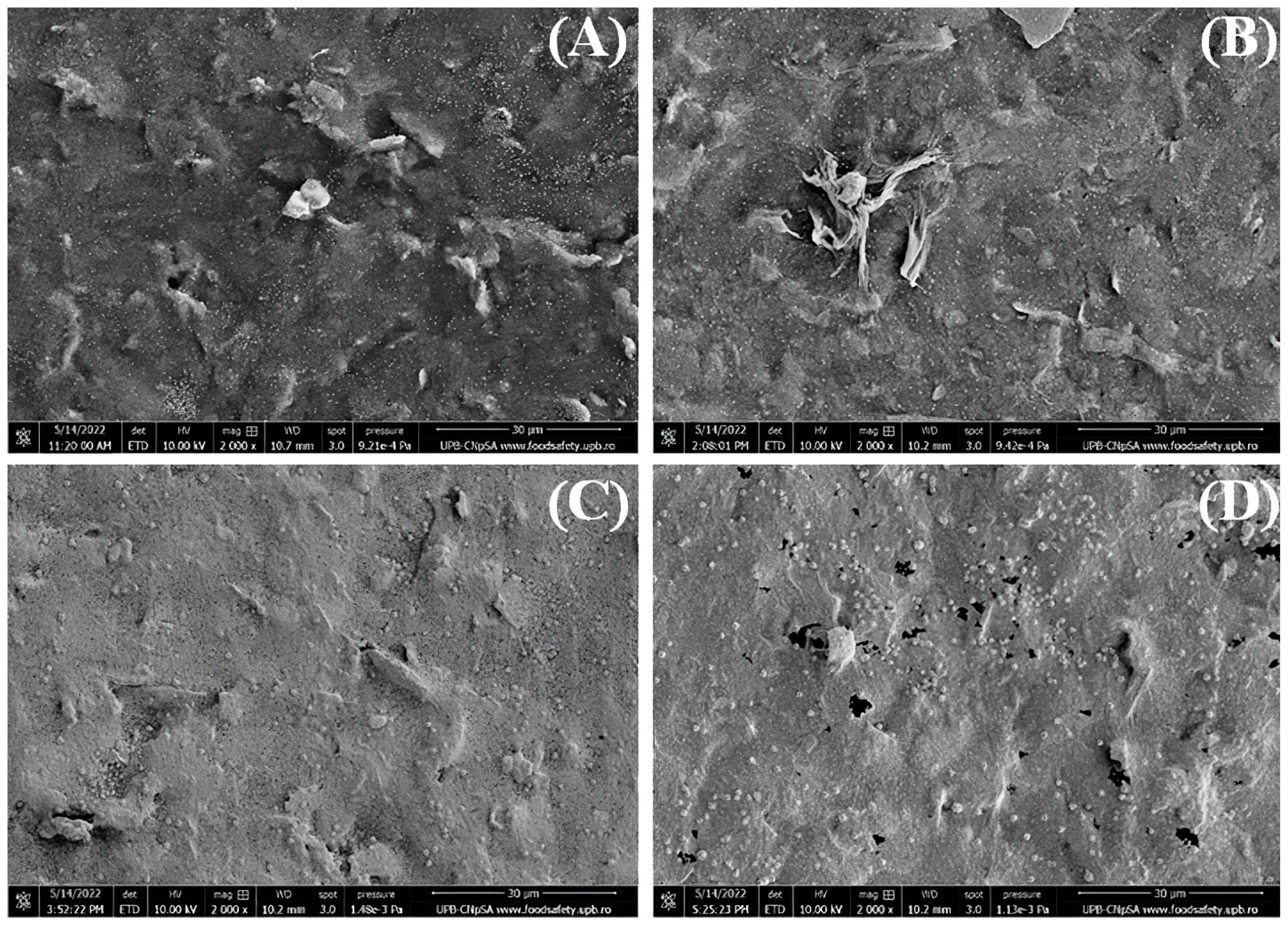 Biosensors 13 00797 g001