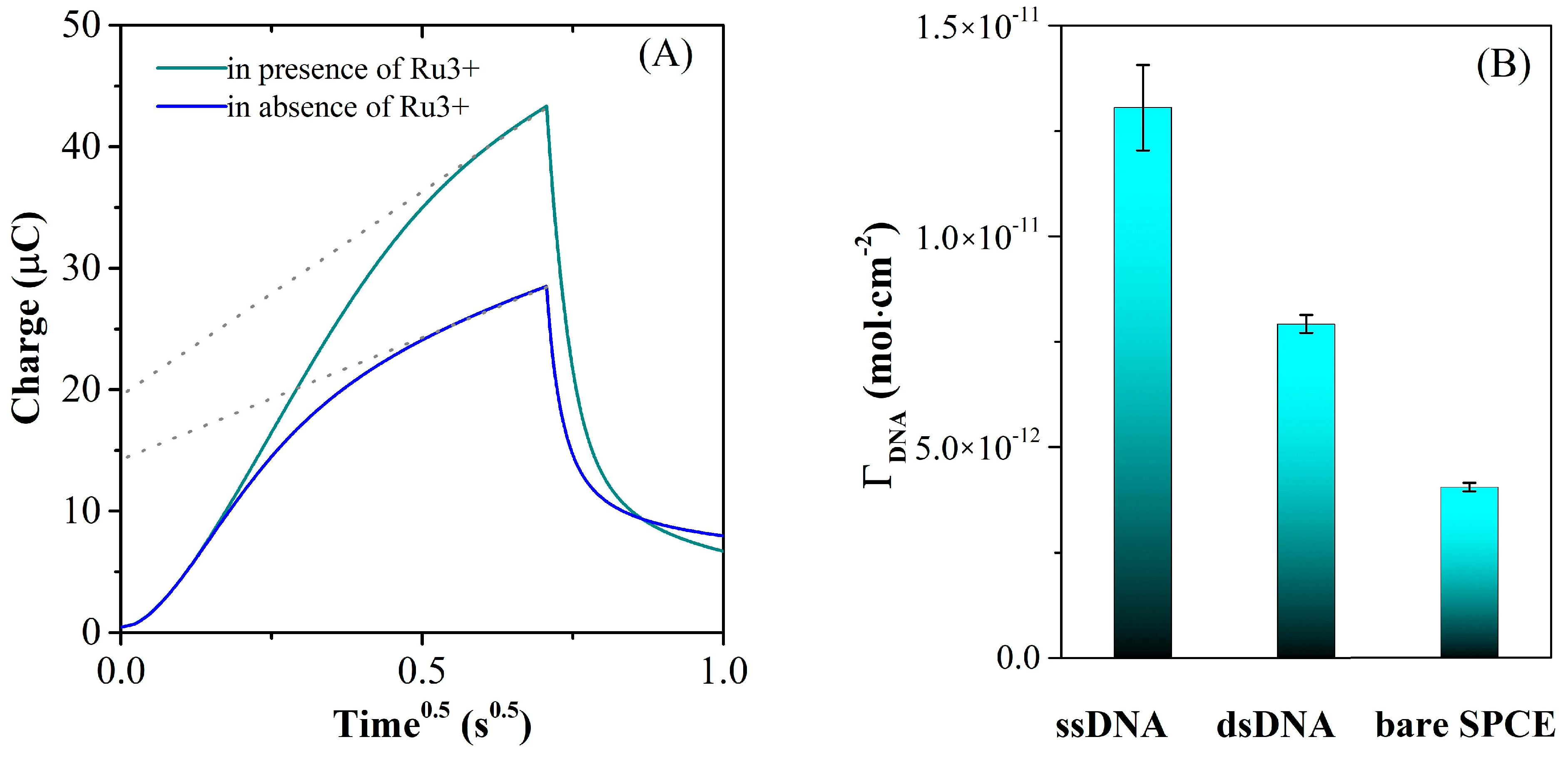 Biosensors 13 00797 g010