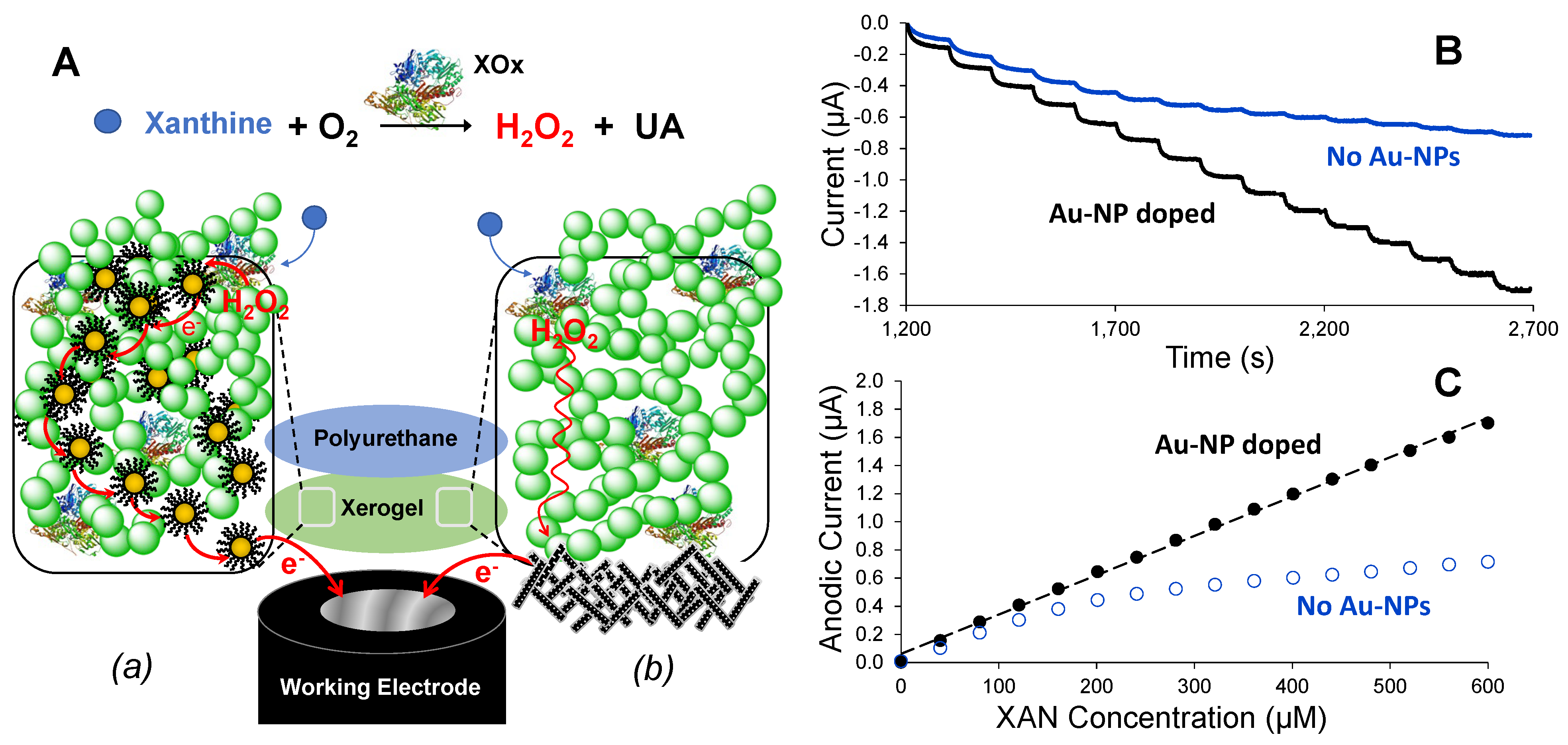 Biosensors 13 00798 g001