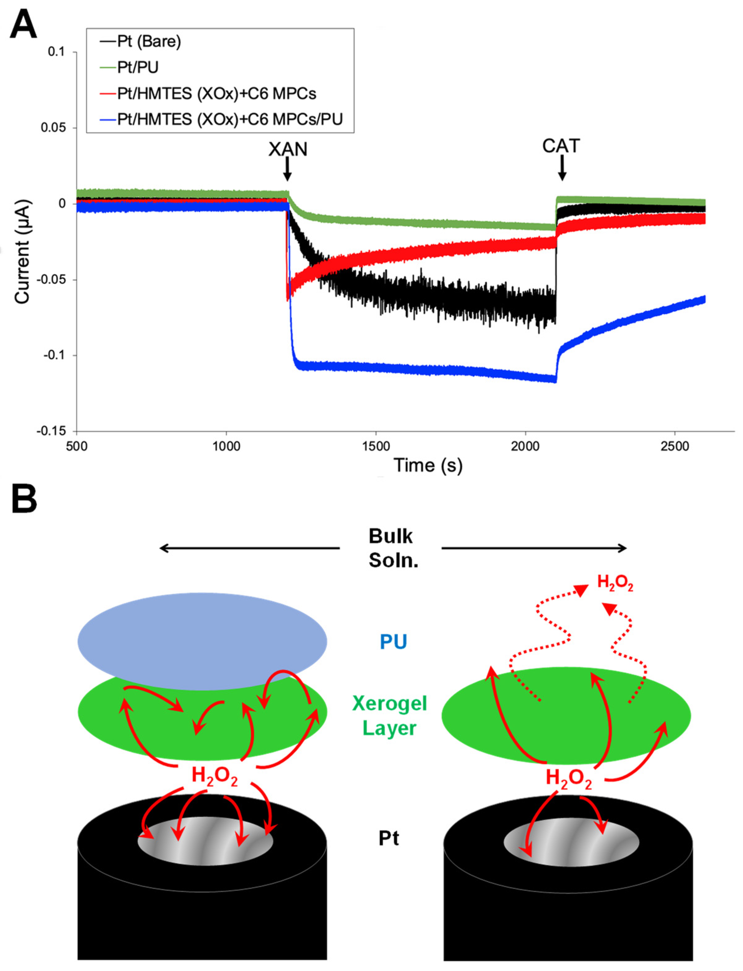 Biosensors 13 00798 g005