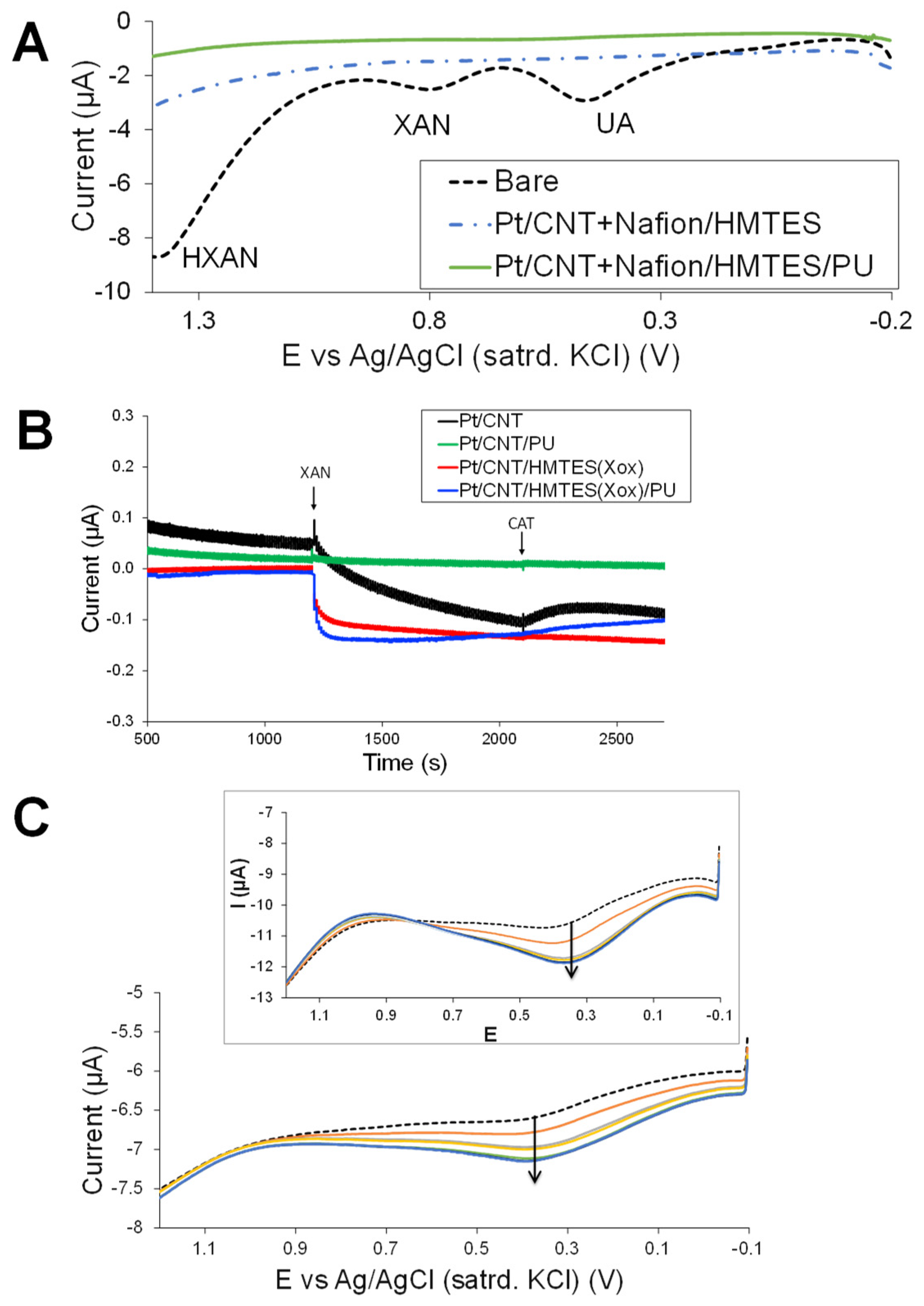 Biosensors 13 00798 g007