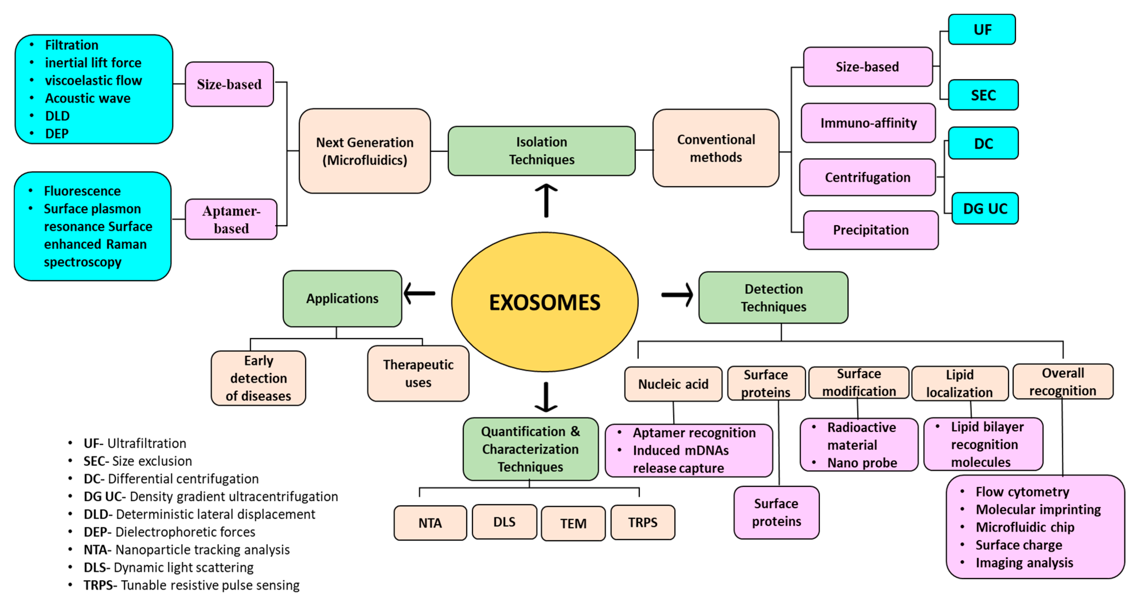 Biosensors 13 00802 g001 Biosensors 13 00802 g001