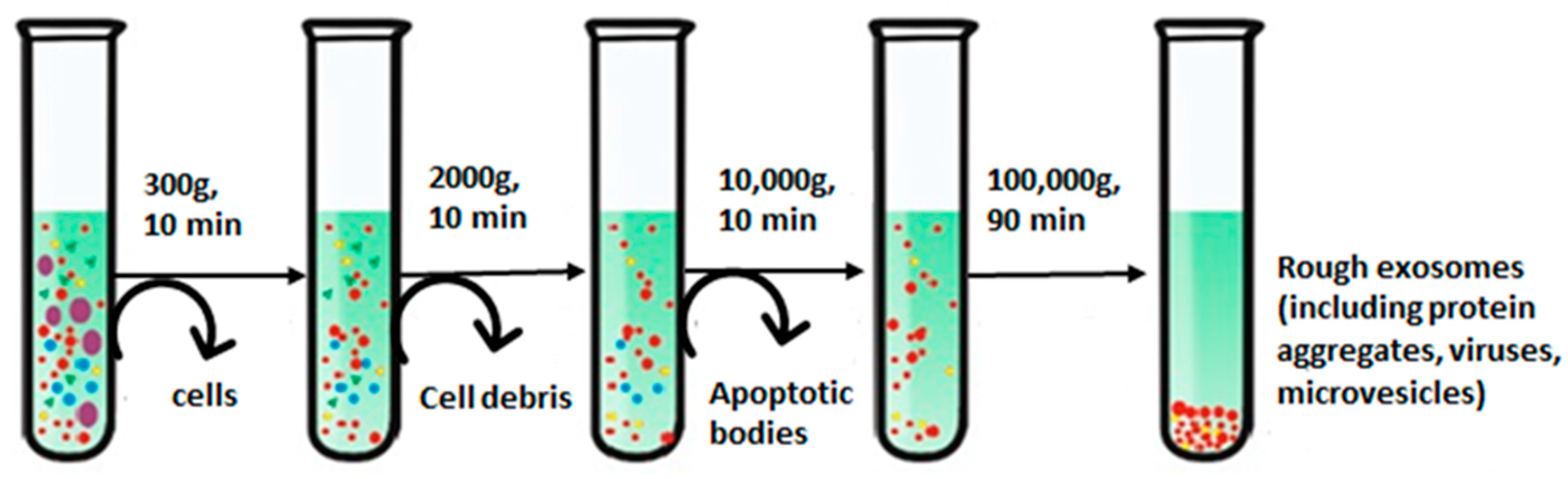 Biosensors 13 00802 g003 Biosensors 13 00802 g003