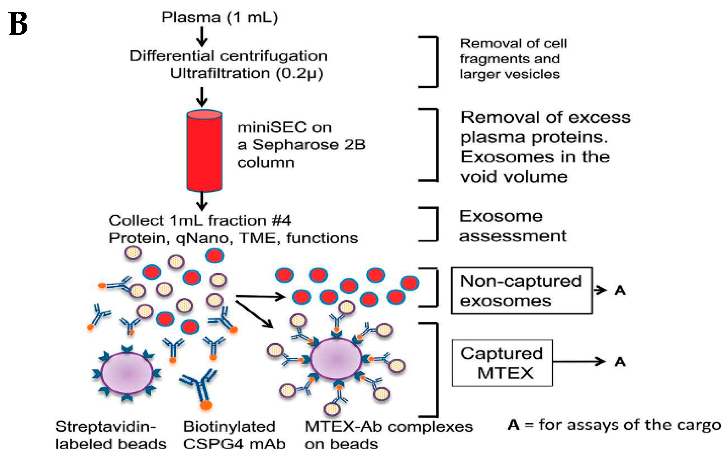 Biosensors 13 00802 g005b Biosensors 13 00802 g005b