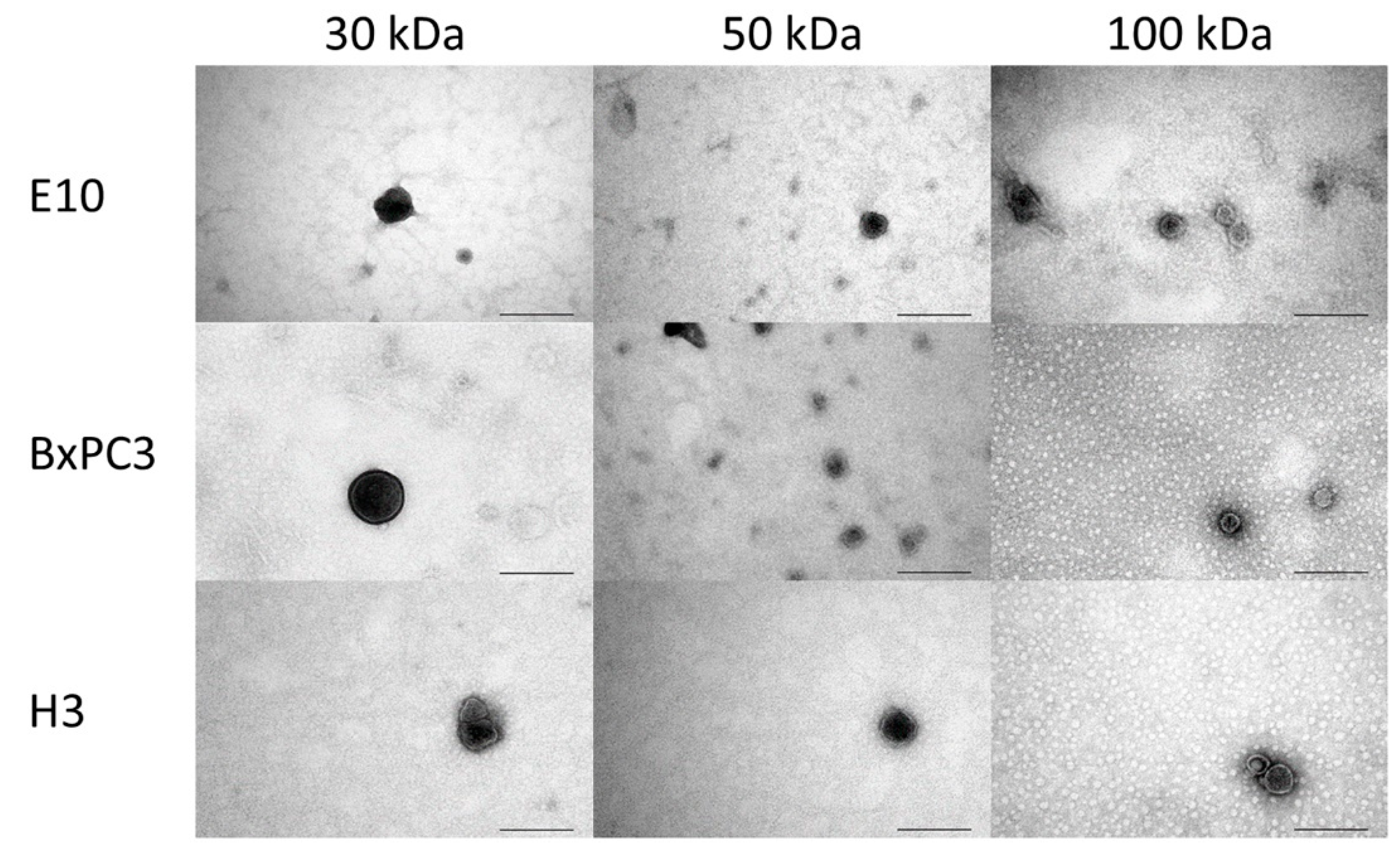 Biosensors 13 00802 g006 Biosensors 13 00802 g006
