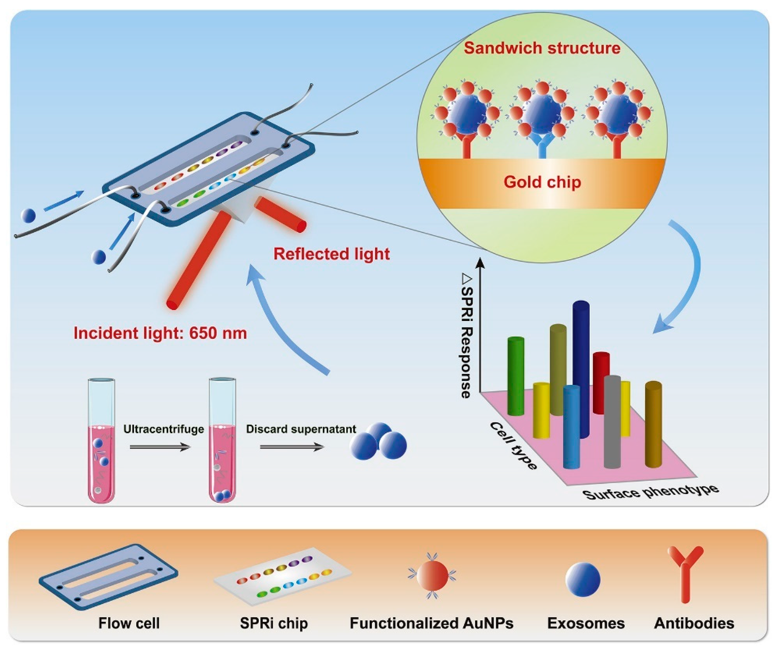 Biosensors 13 00802 g010 Biosensors 13 00802 g010