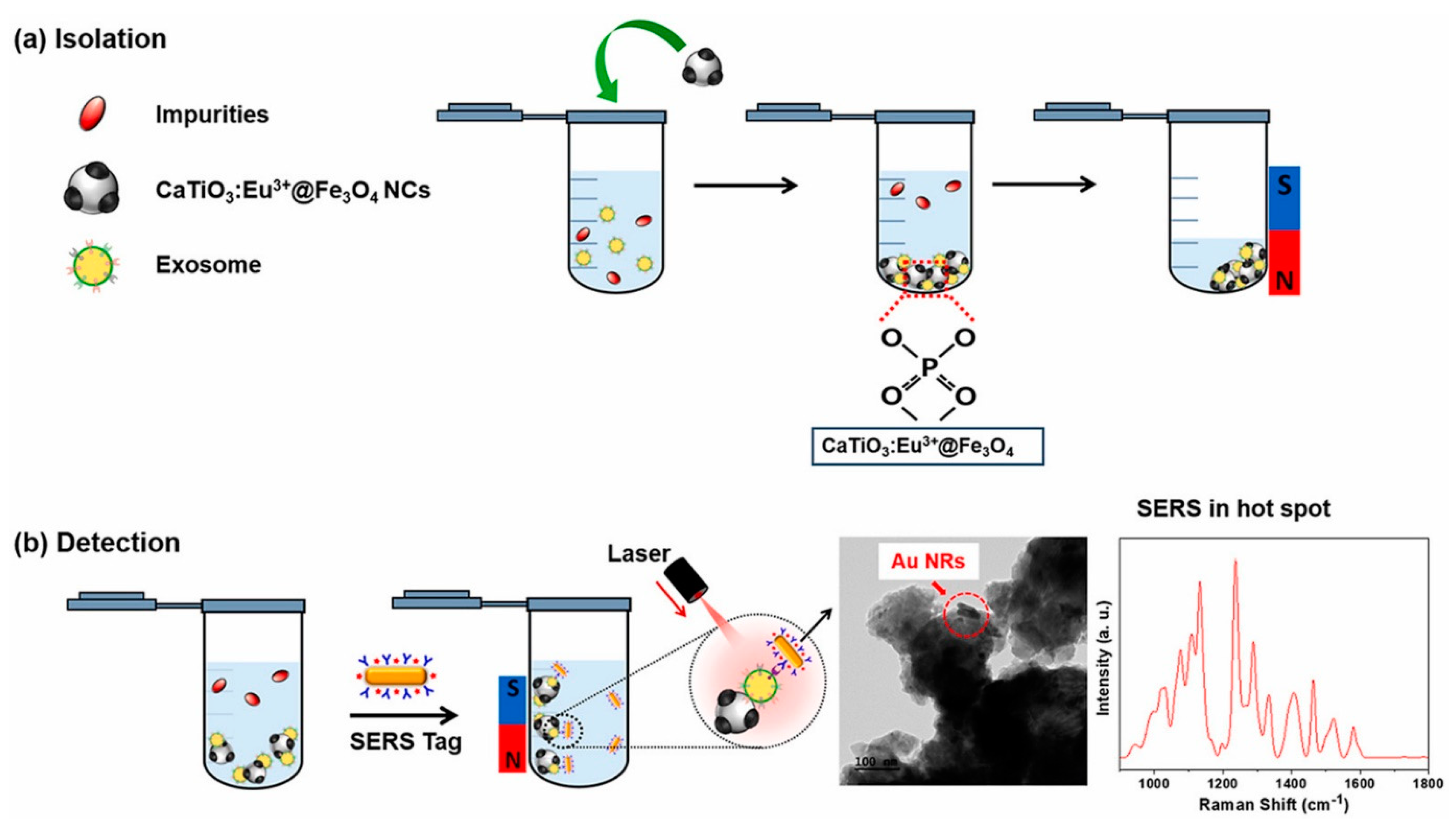 Biosensors 13 00802 g013 Biosensors 13 00802 g013