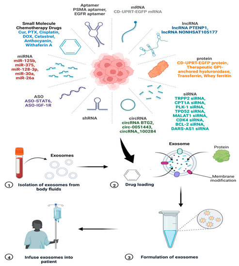 Quantitative Recoveries of Exosomes and Monoclonal Antibodies from