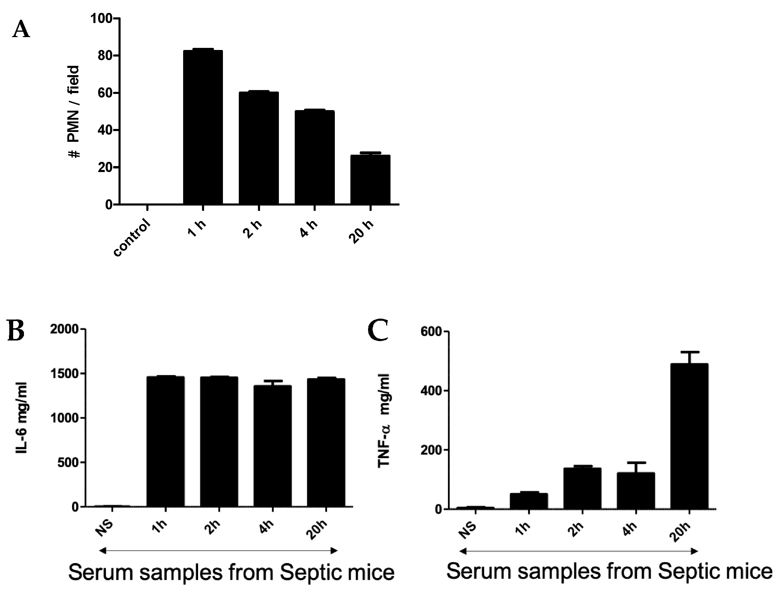 Biosensors 13 00804 g001 Biosensors 13 00804 g001