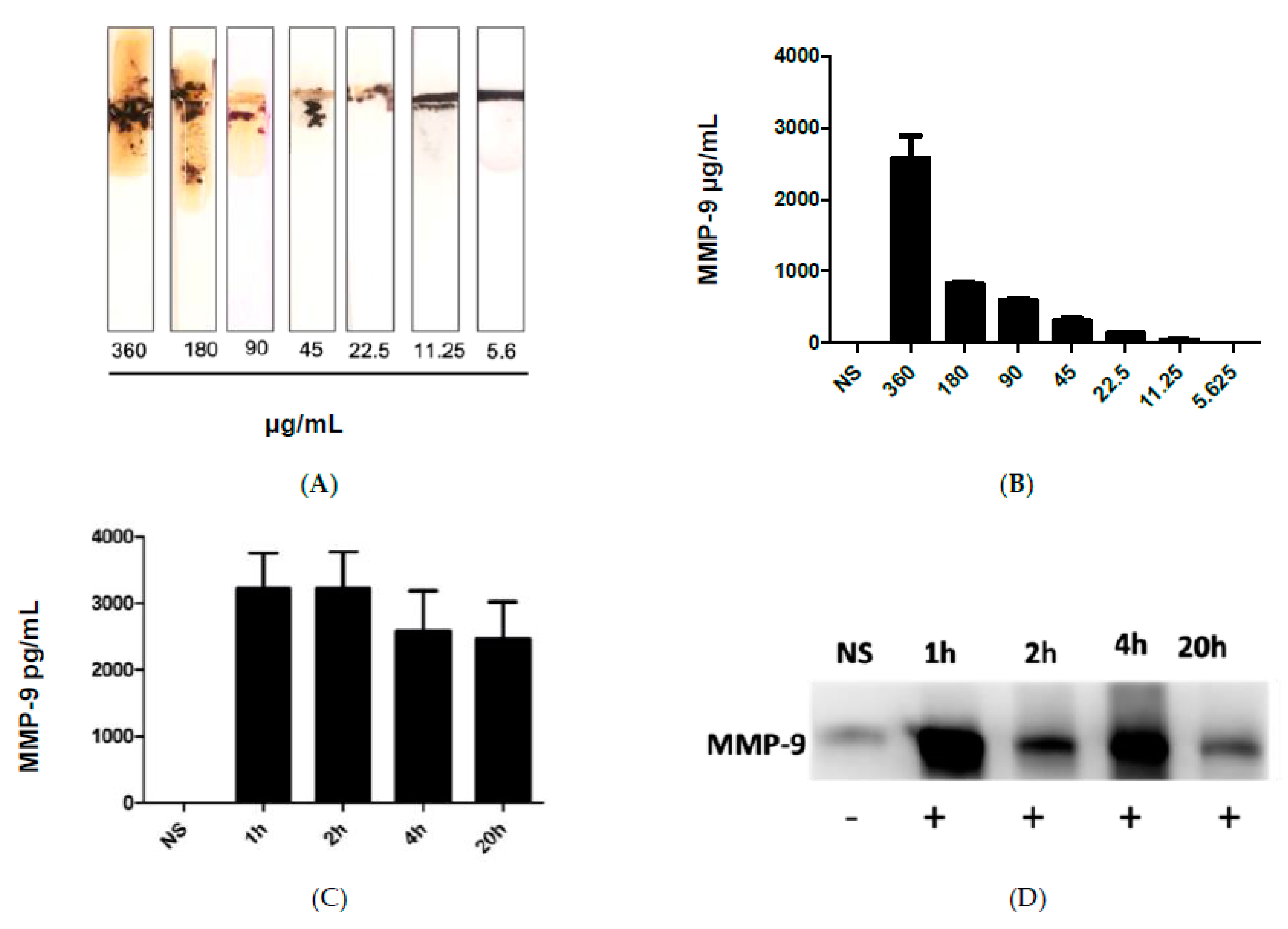 Biosensors 13 00804 g003 Biosensors 13 00804 g003
