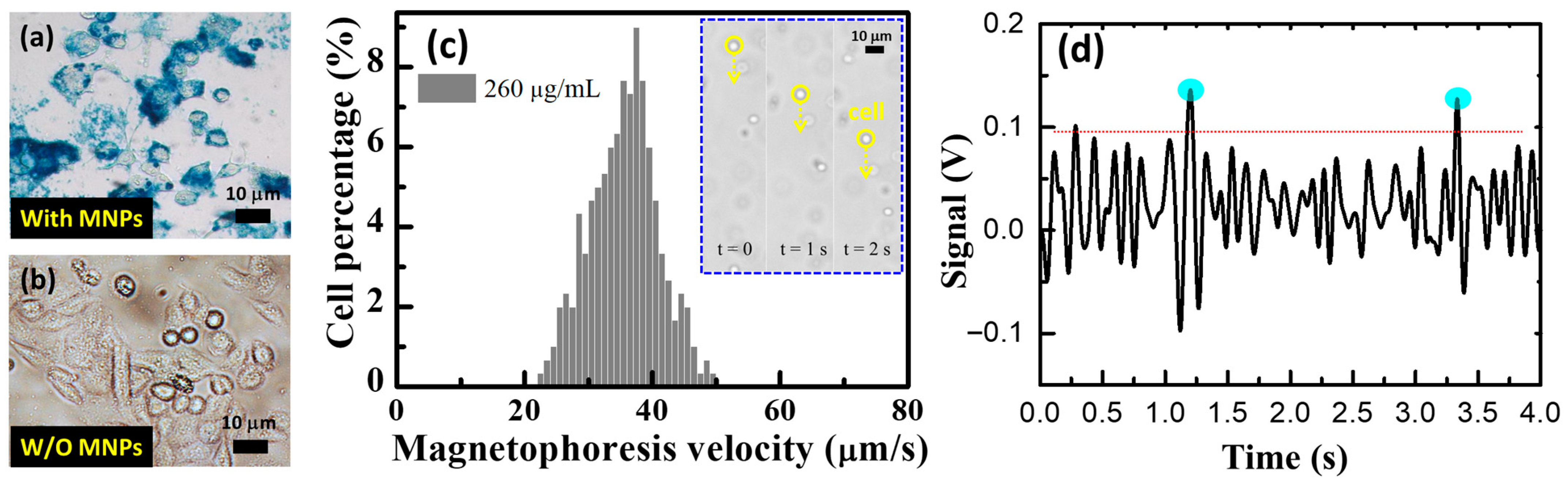 Biosensors 13 00807 g007