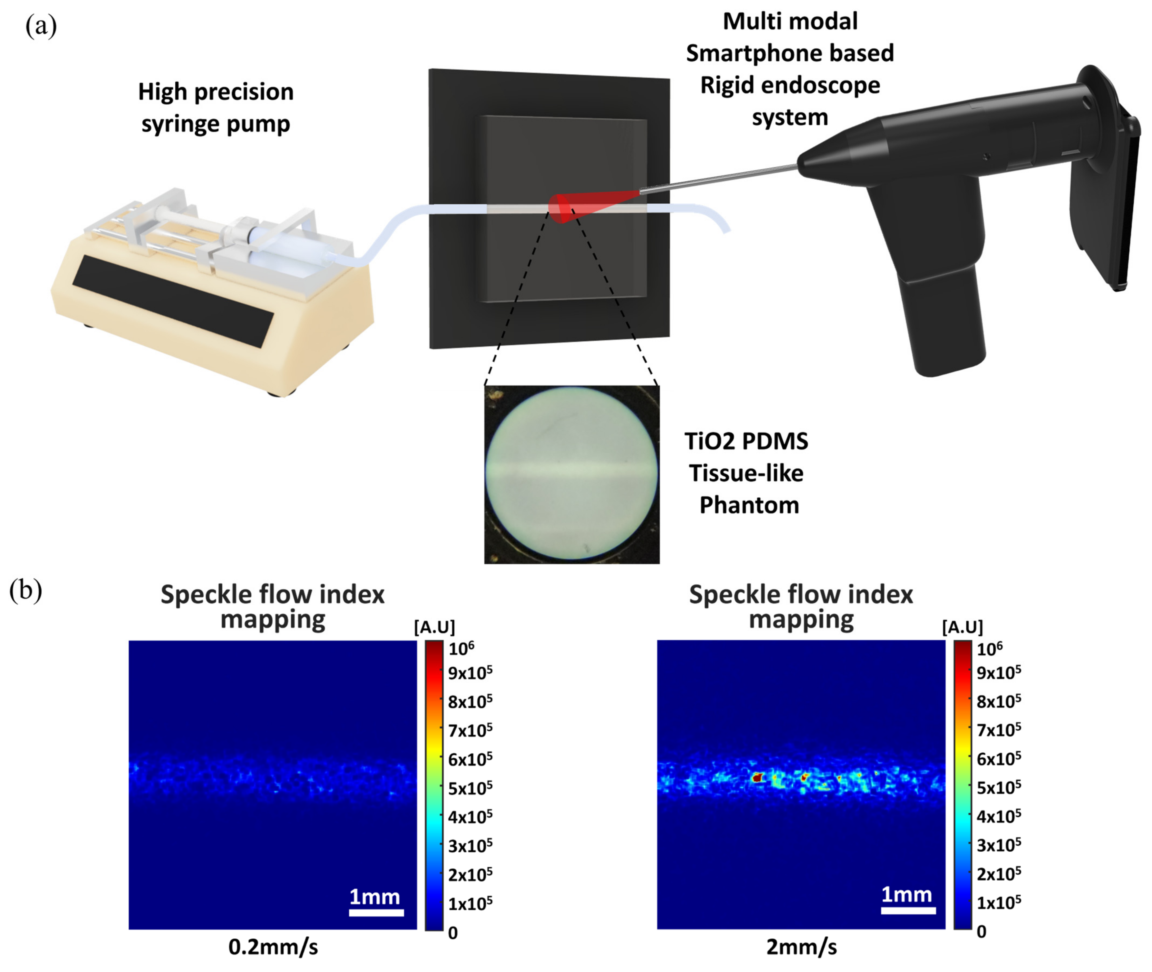 Biosensors 13 00816 g004