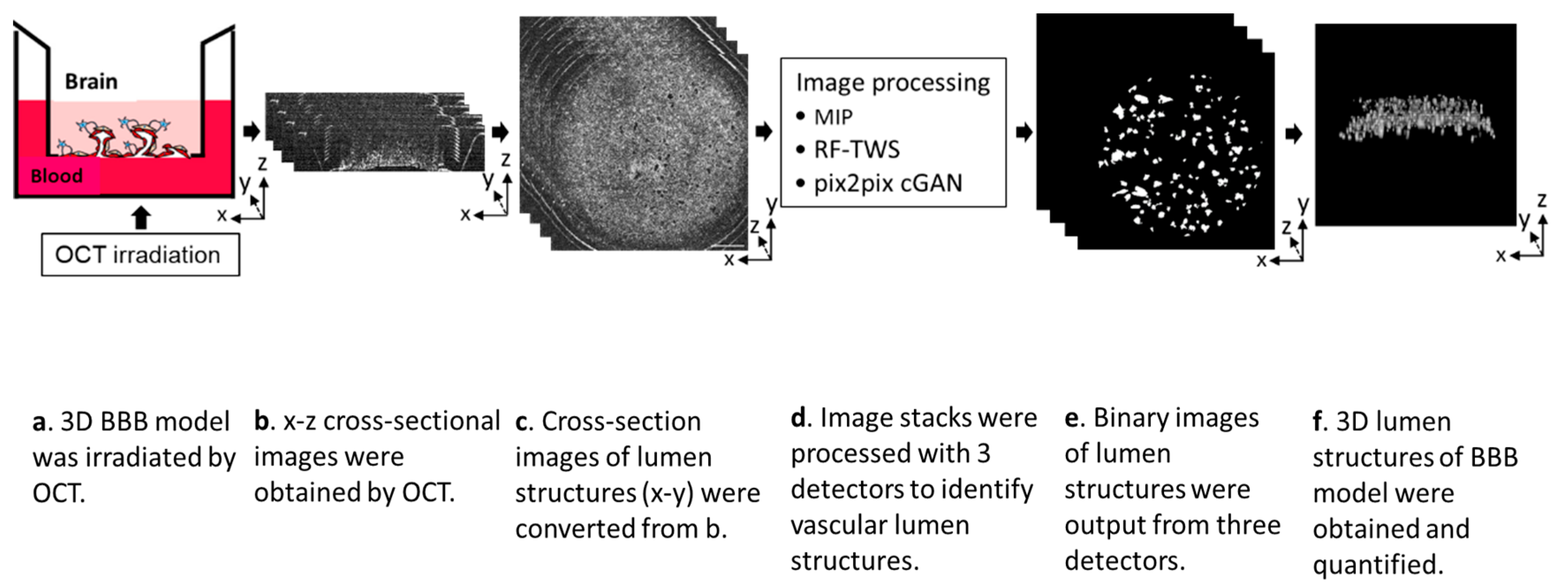 Biosensors 13 00818 g001