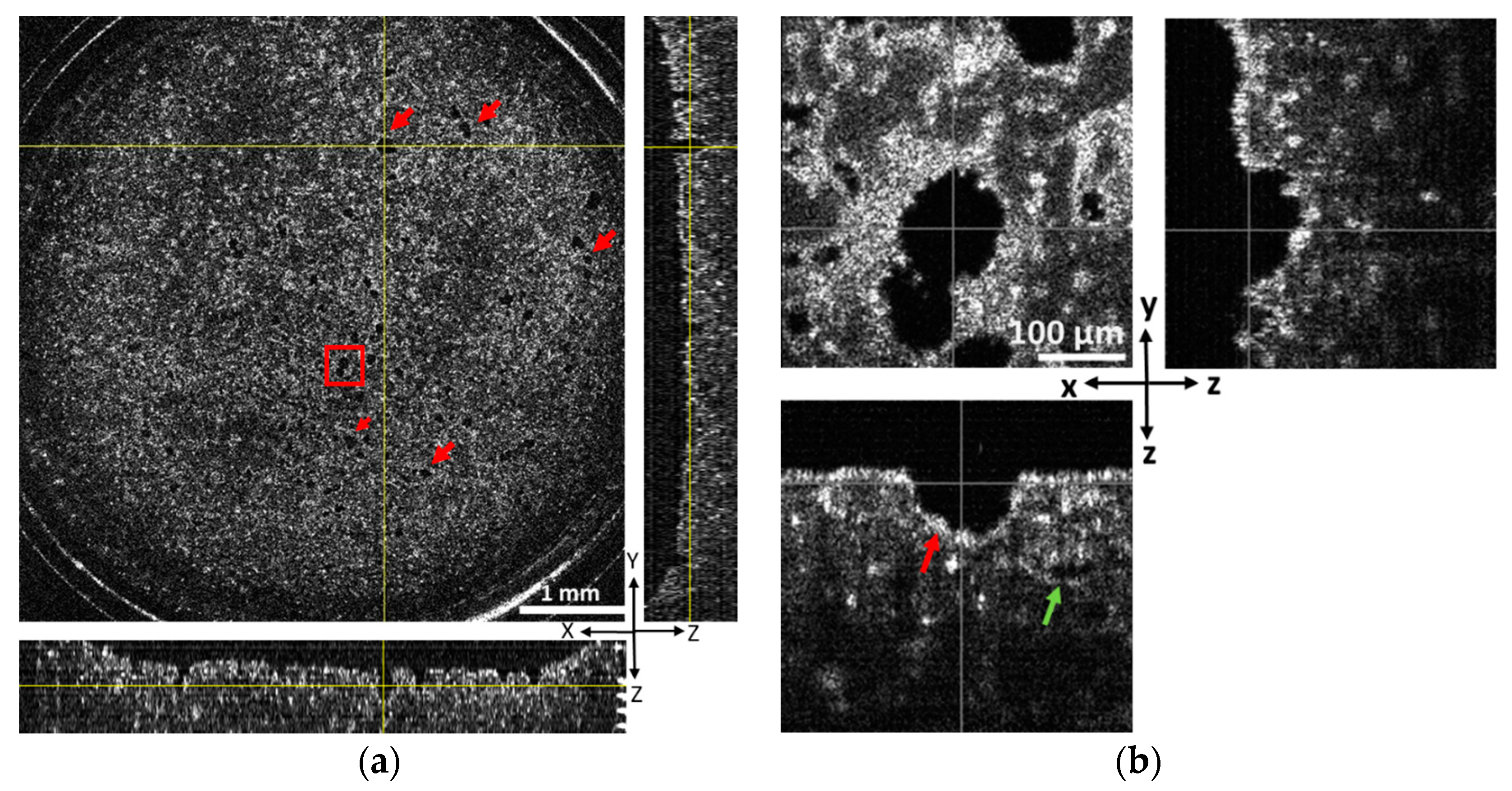 Biosensors 13 00818 g002