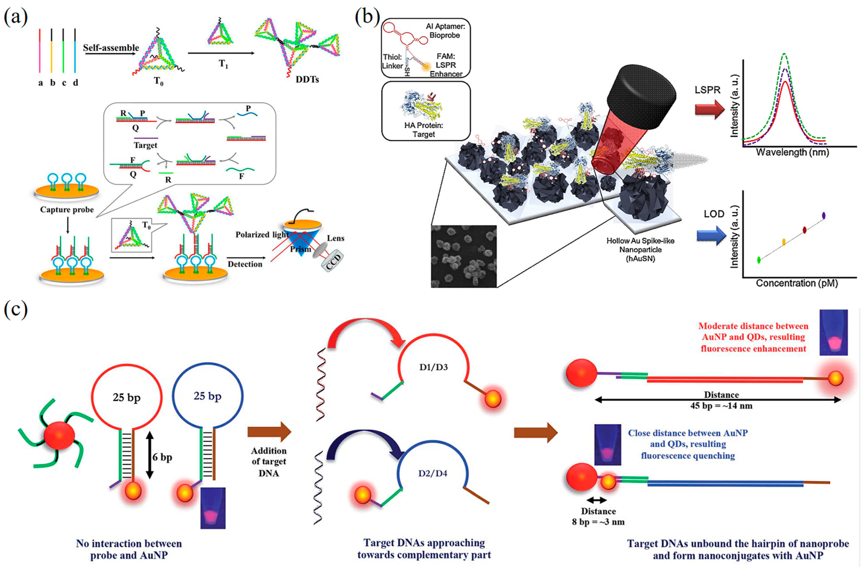 Biosensors 13 00822 g005