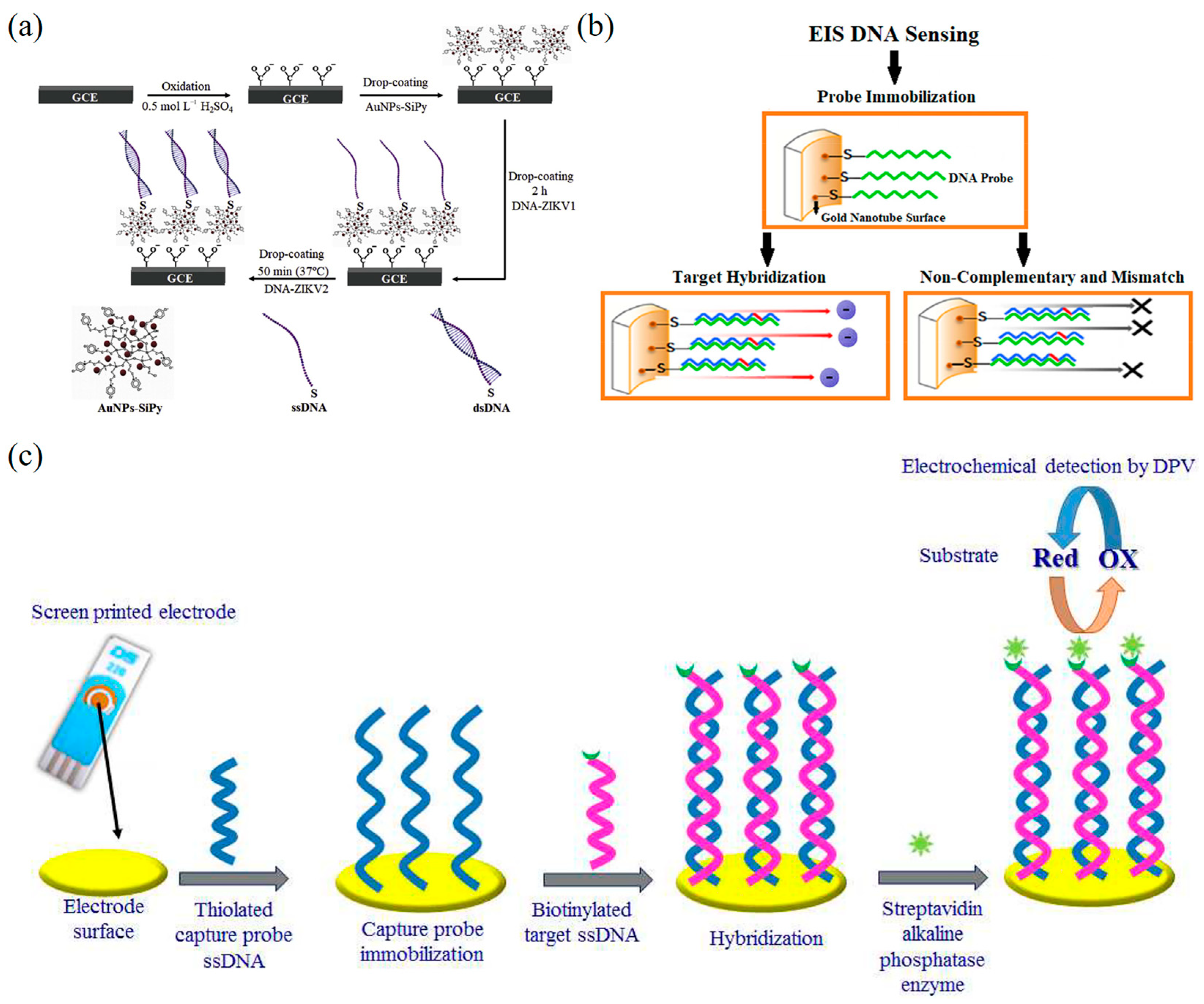 Biosensors 13 00822 g008