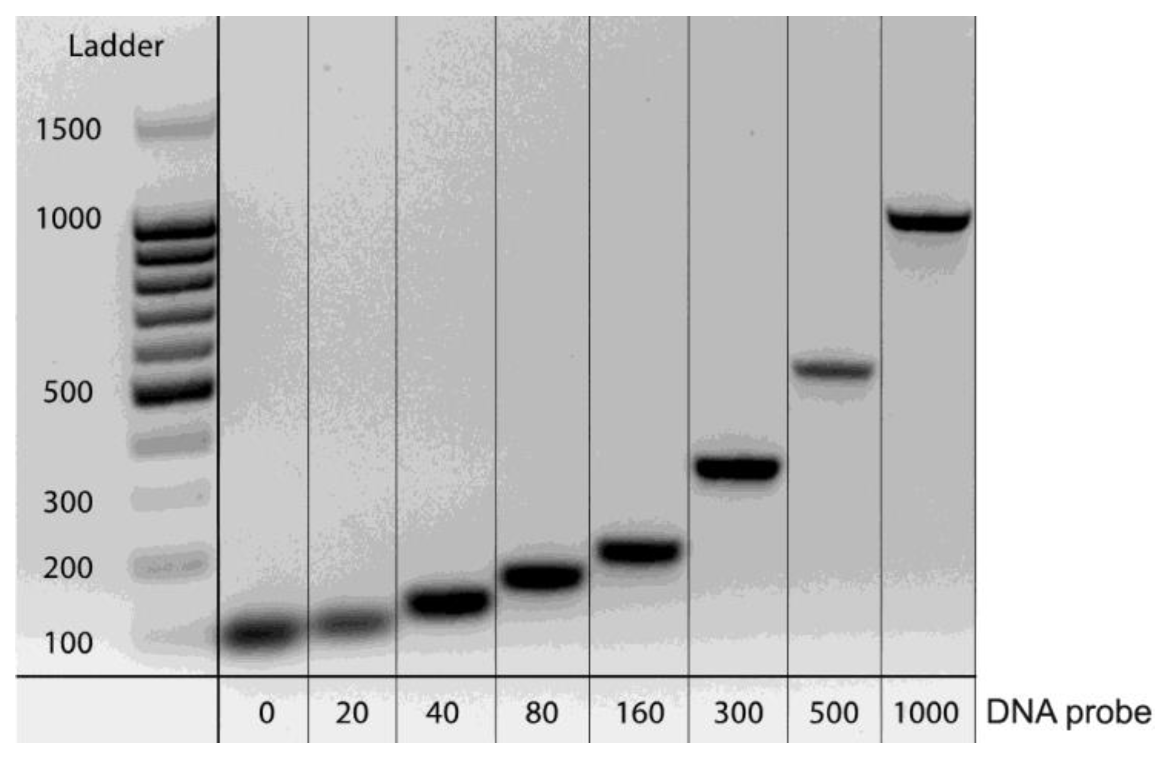 Biosensors 13 00824 g003