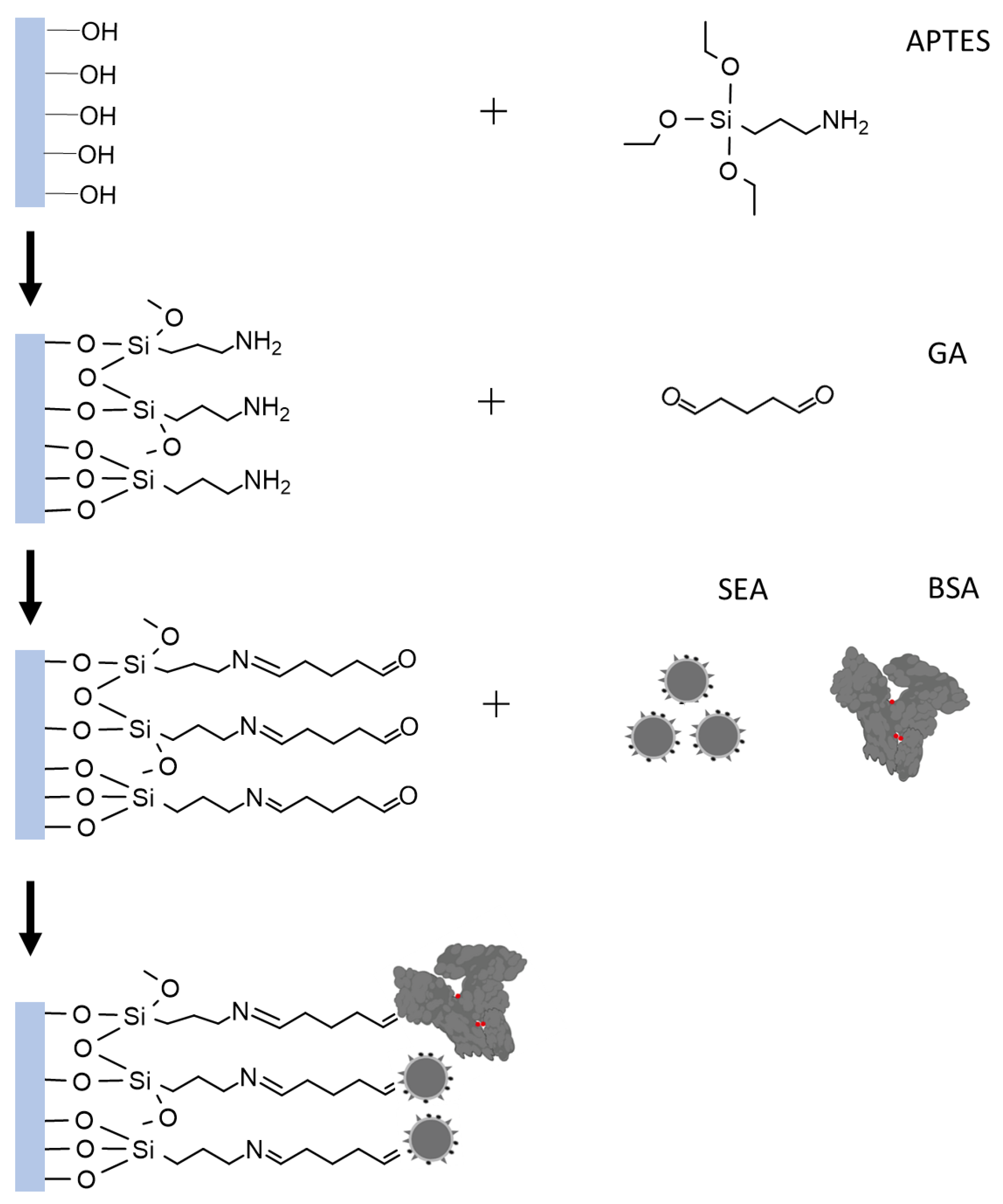 Biosensors 13 00831 g002