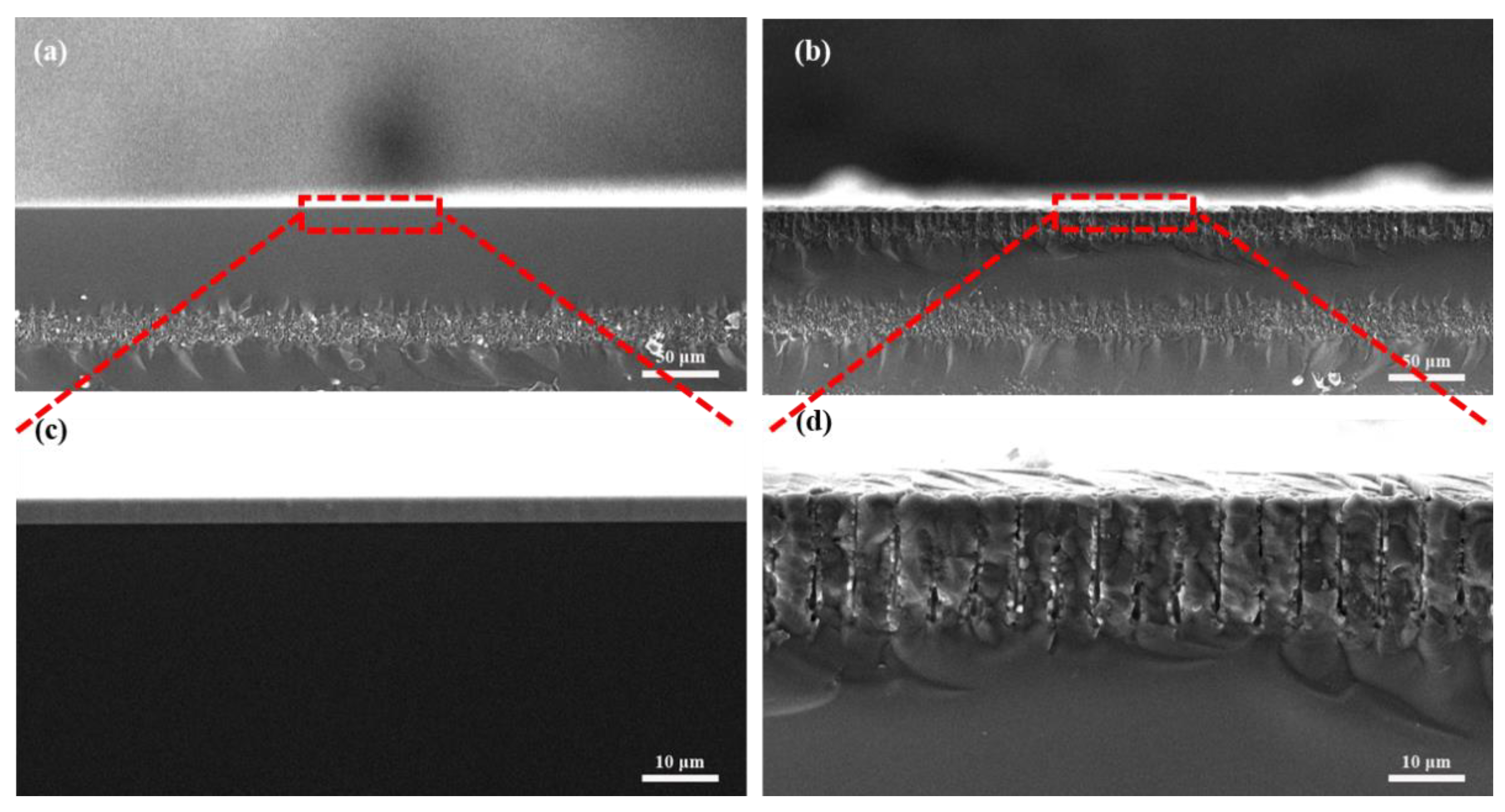Biosensors 13 00831 g004