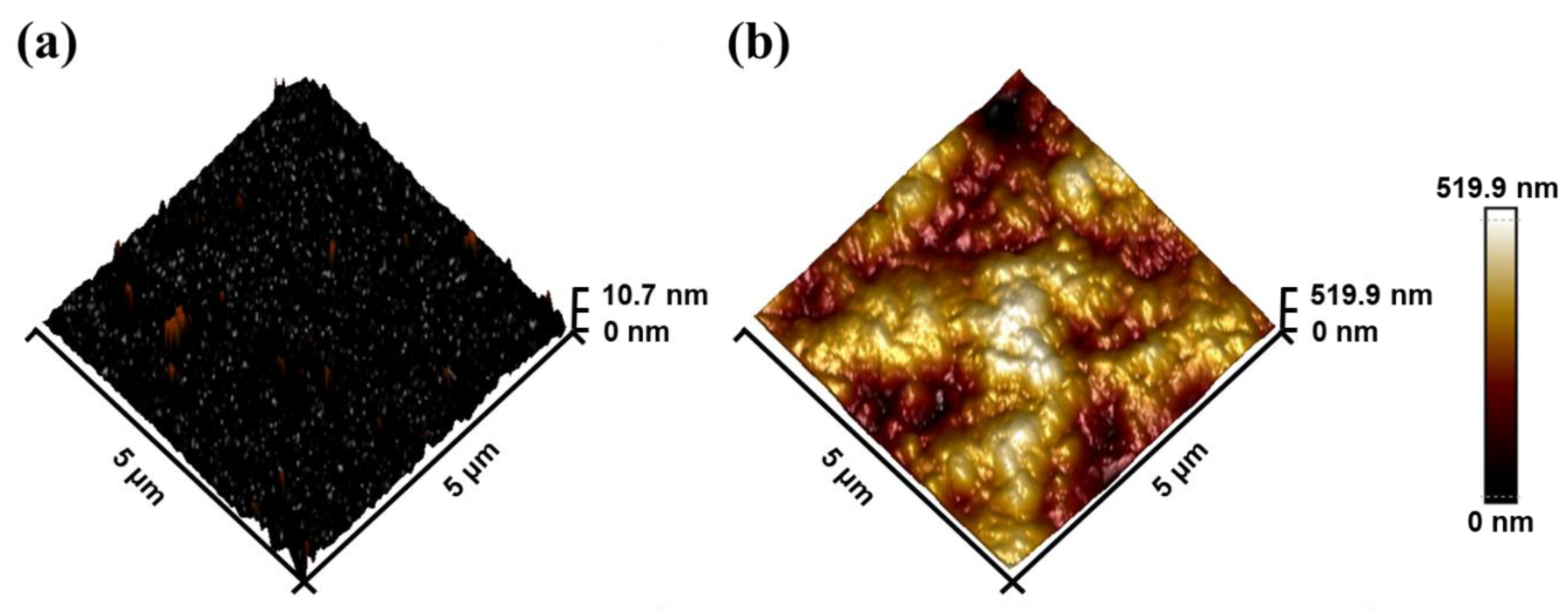 Biosensors 13 00831 g005
