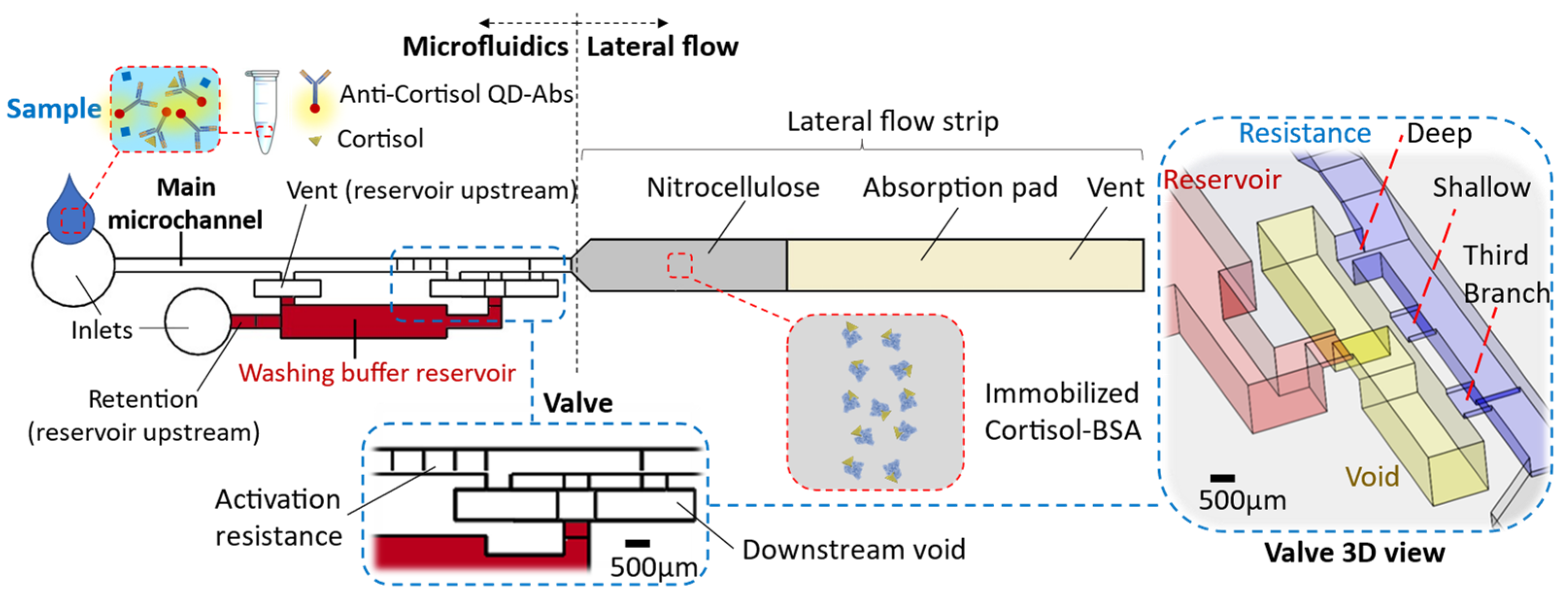 Biosensors 13 00832 g001