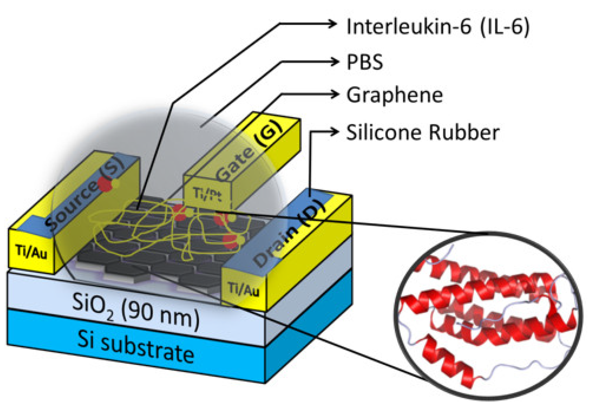 Biosensors 13 00834 g002