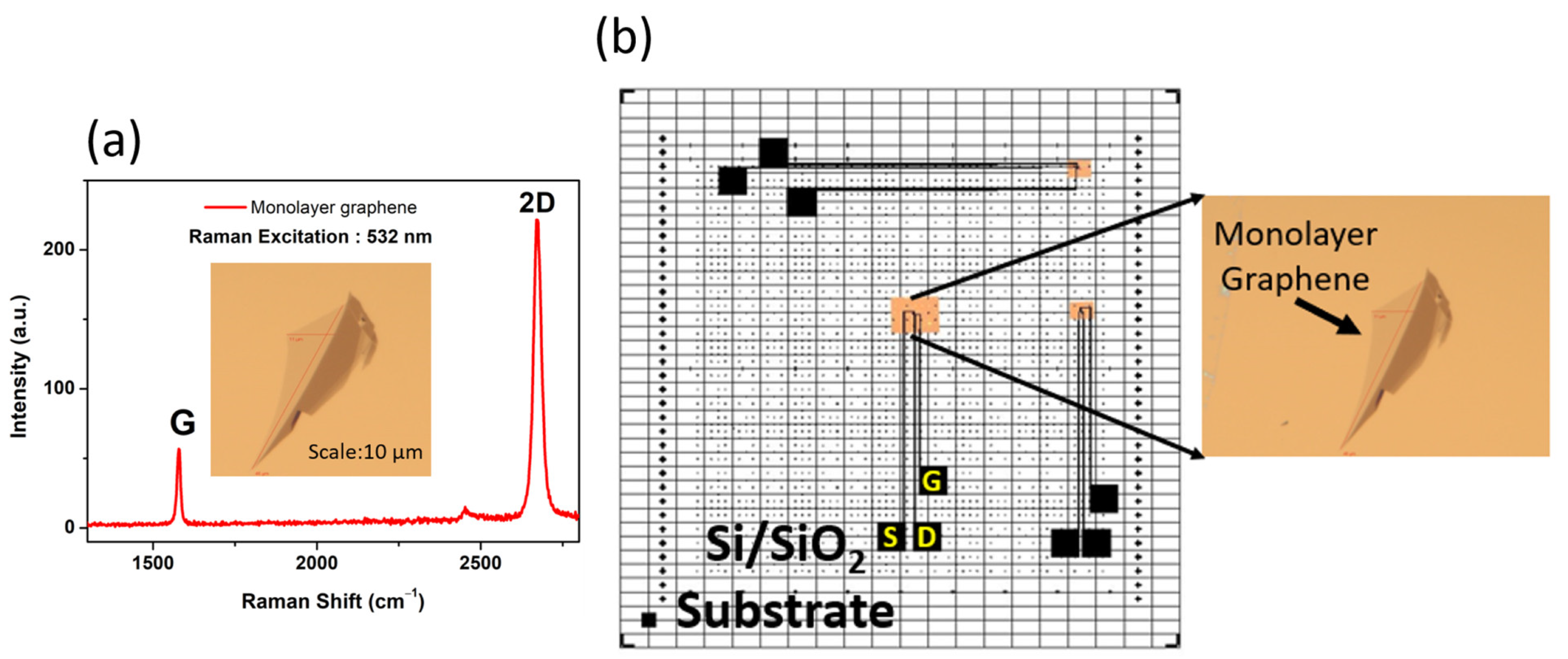 Biosensors 13 00834 g003