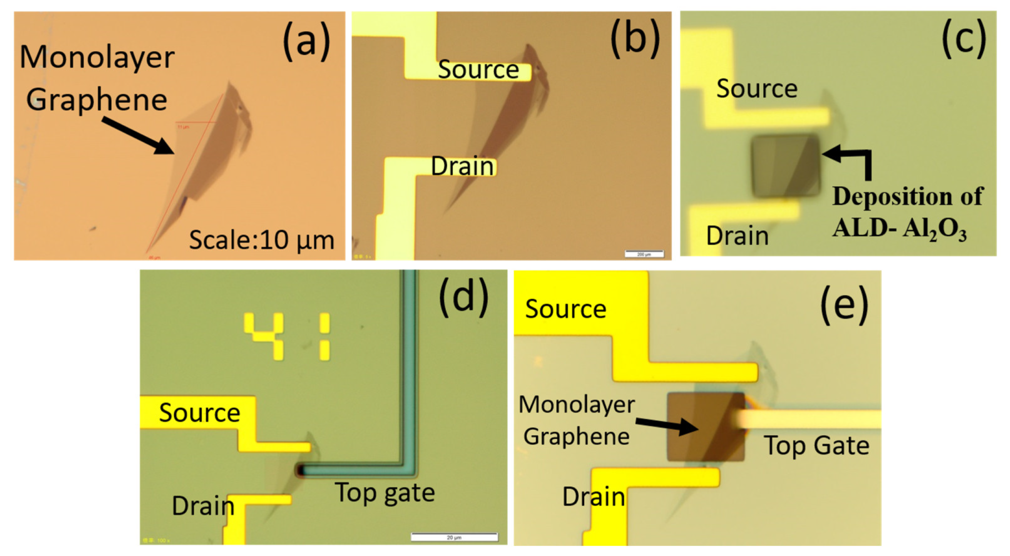 Biosensors 13 00834 g004