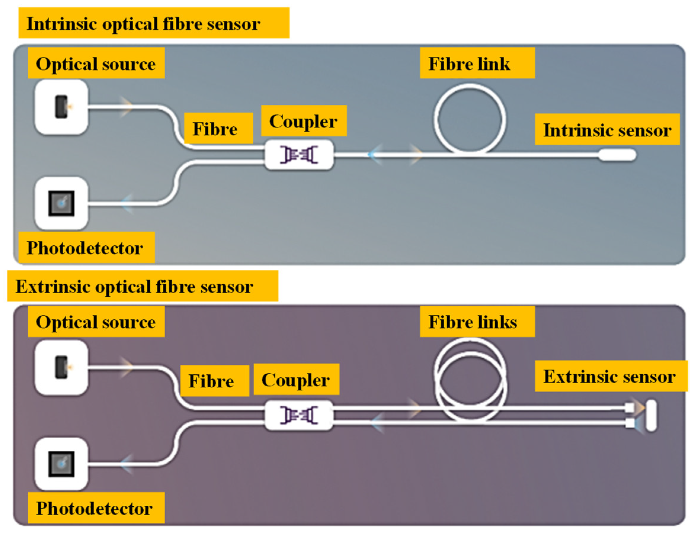 Biosensors 13 00835 g003