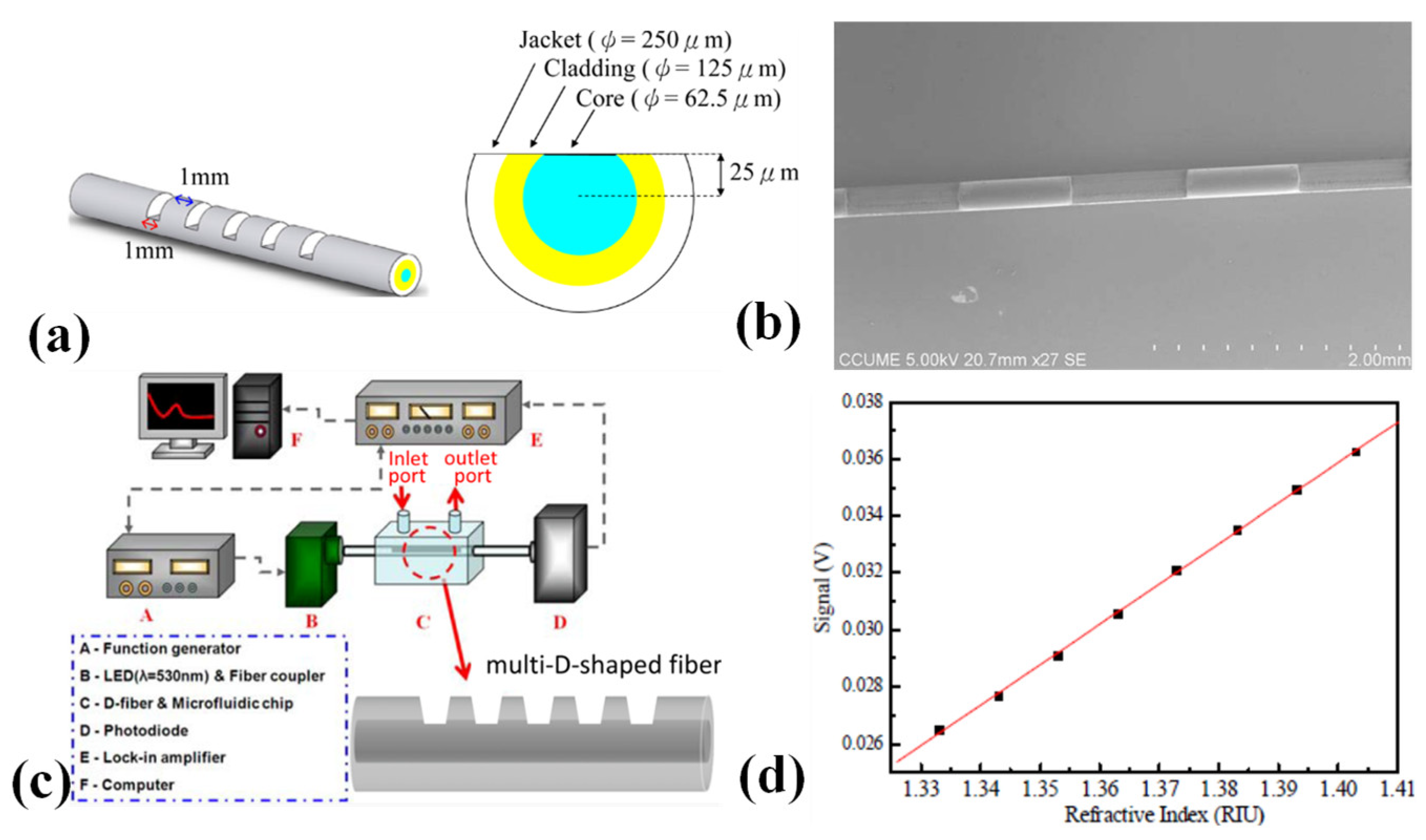 Biosensors 13 00835 g006