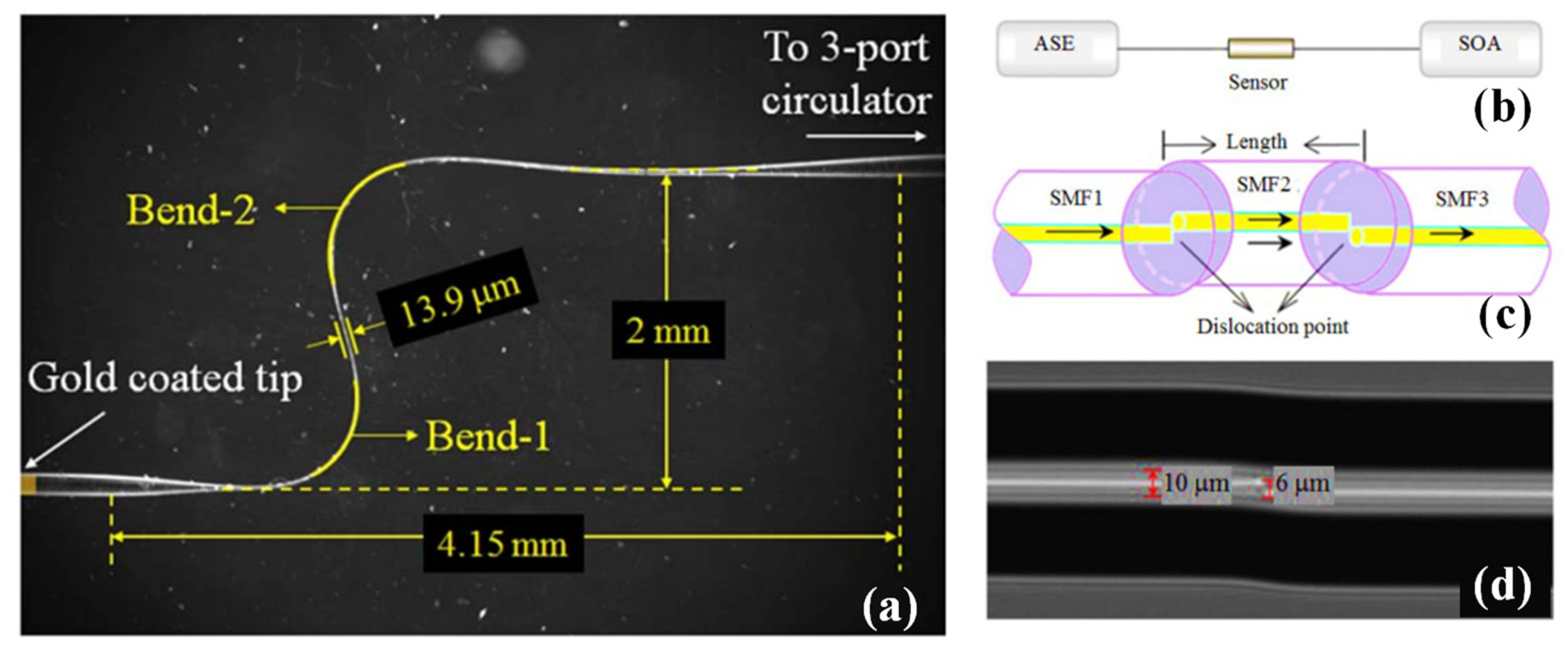 Biosensors 13 00835 g007