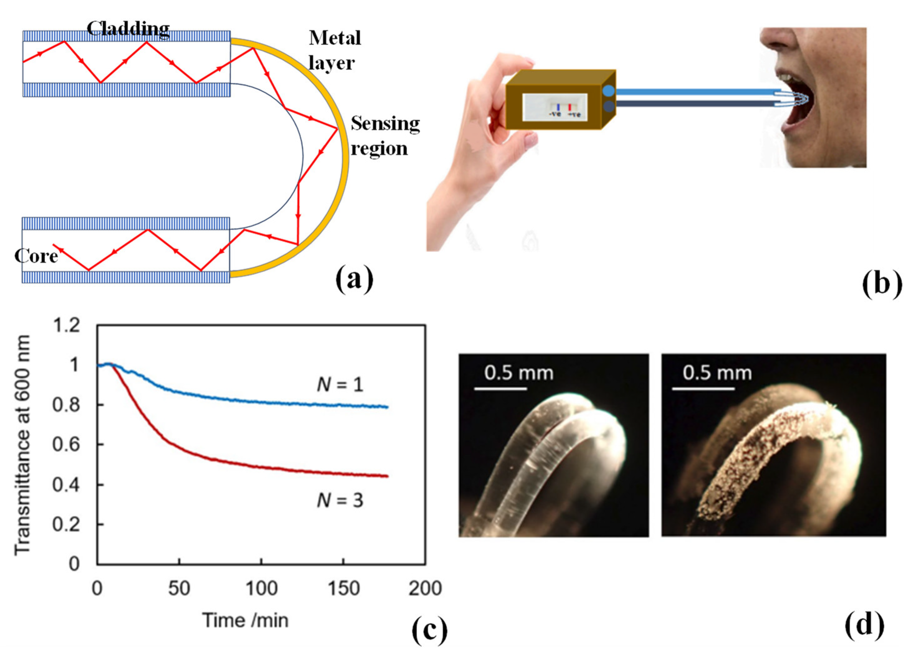 Biosensors 13 00835 g008