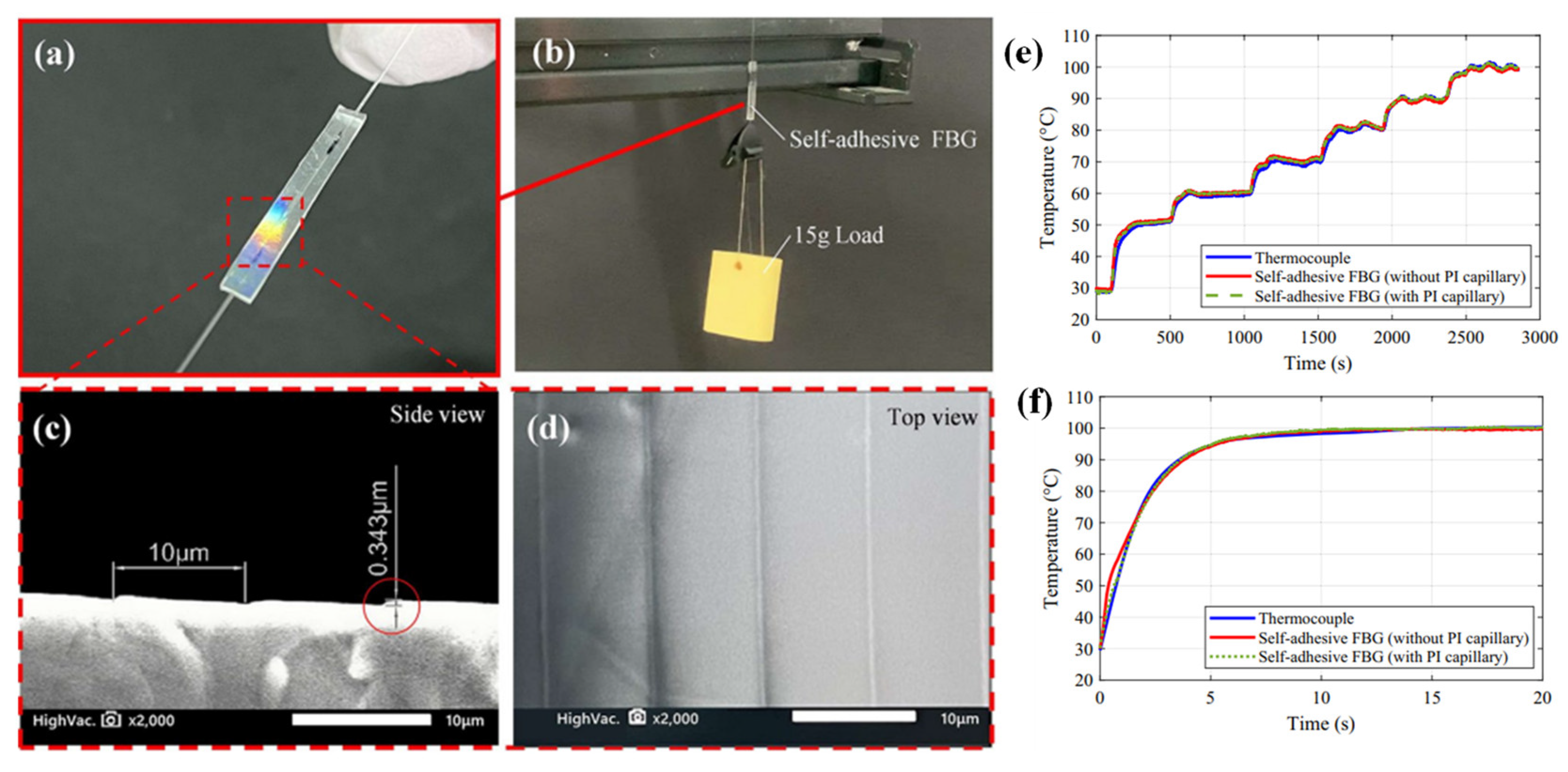 Biosensors 13 00835 g010