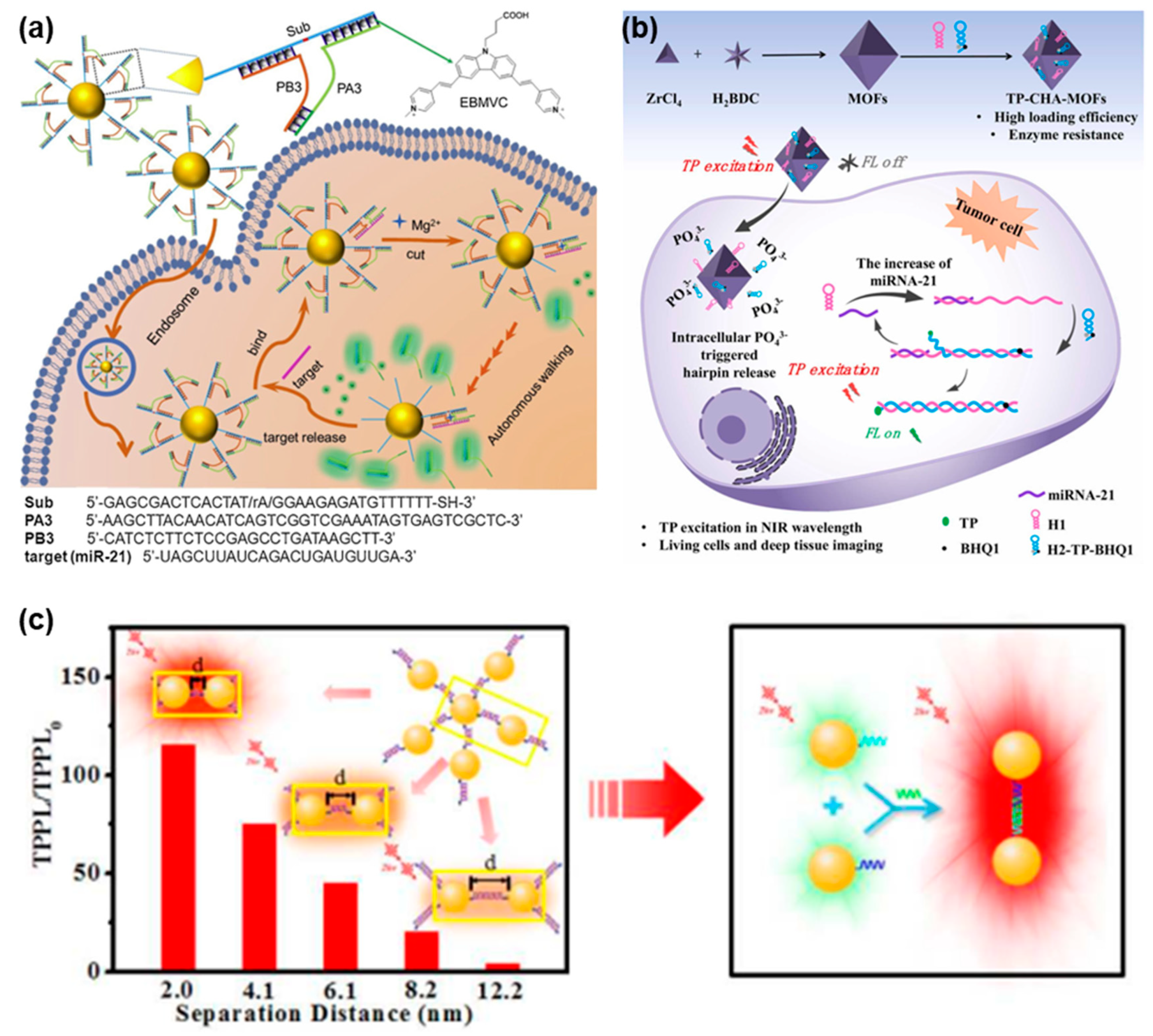 Biosensors 13 00836 g002 Biosensors 13 00836 g002