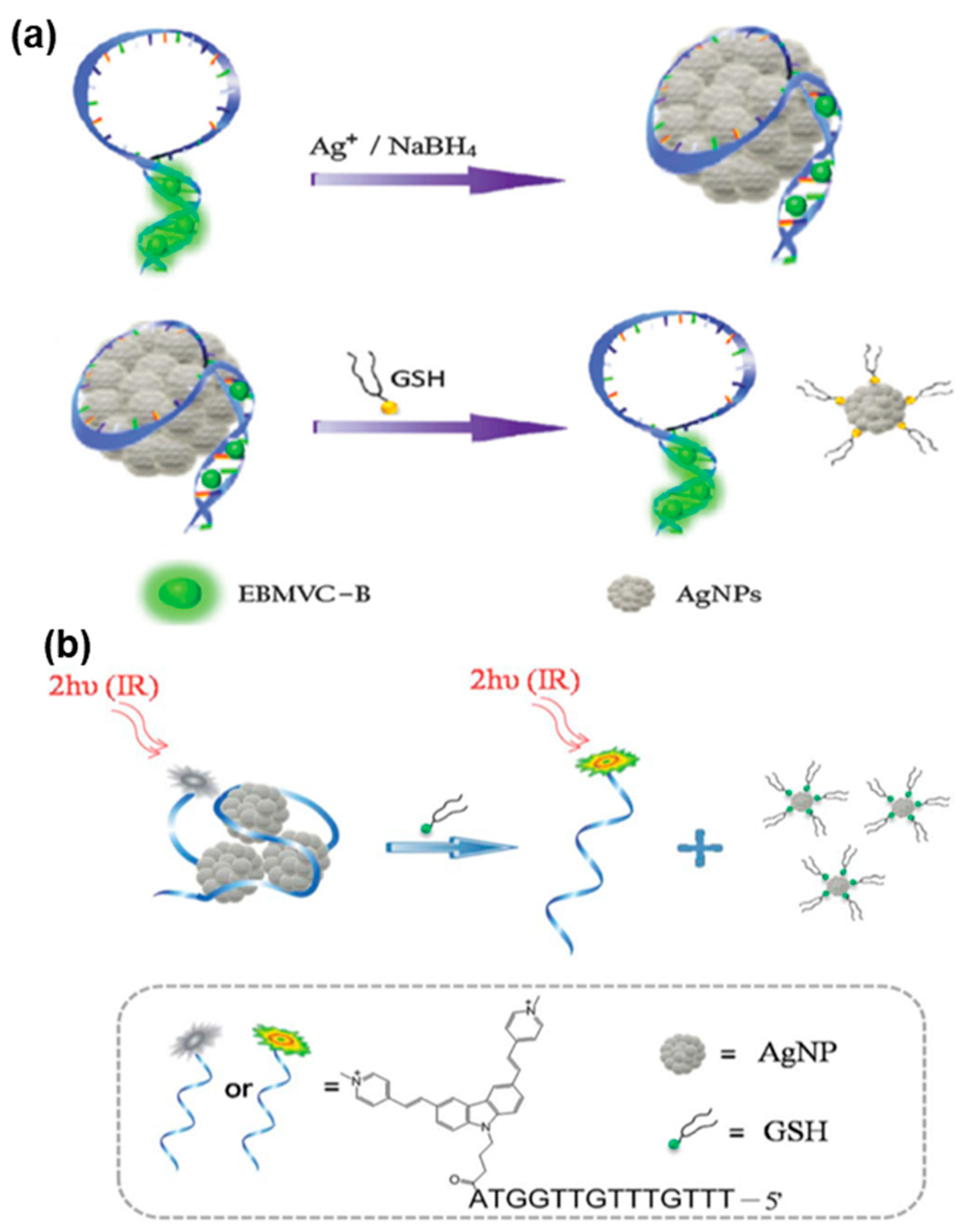 Biosensors 13 00836 g004 Biosensors 13 00836 g004