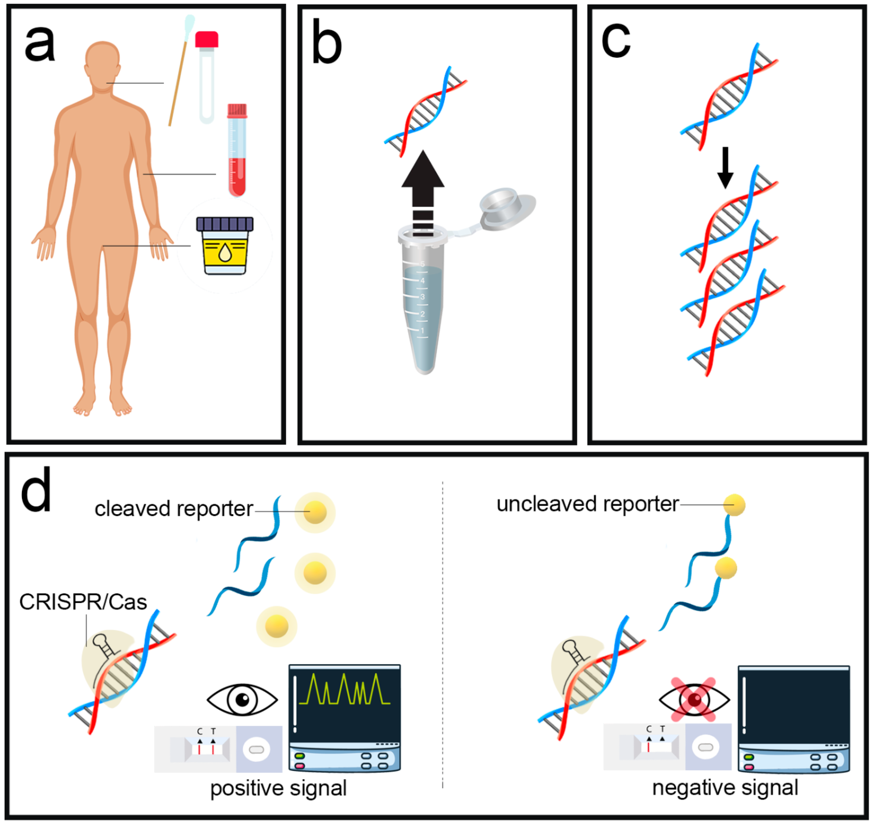 Biosensors 13 00837 g004
