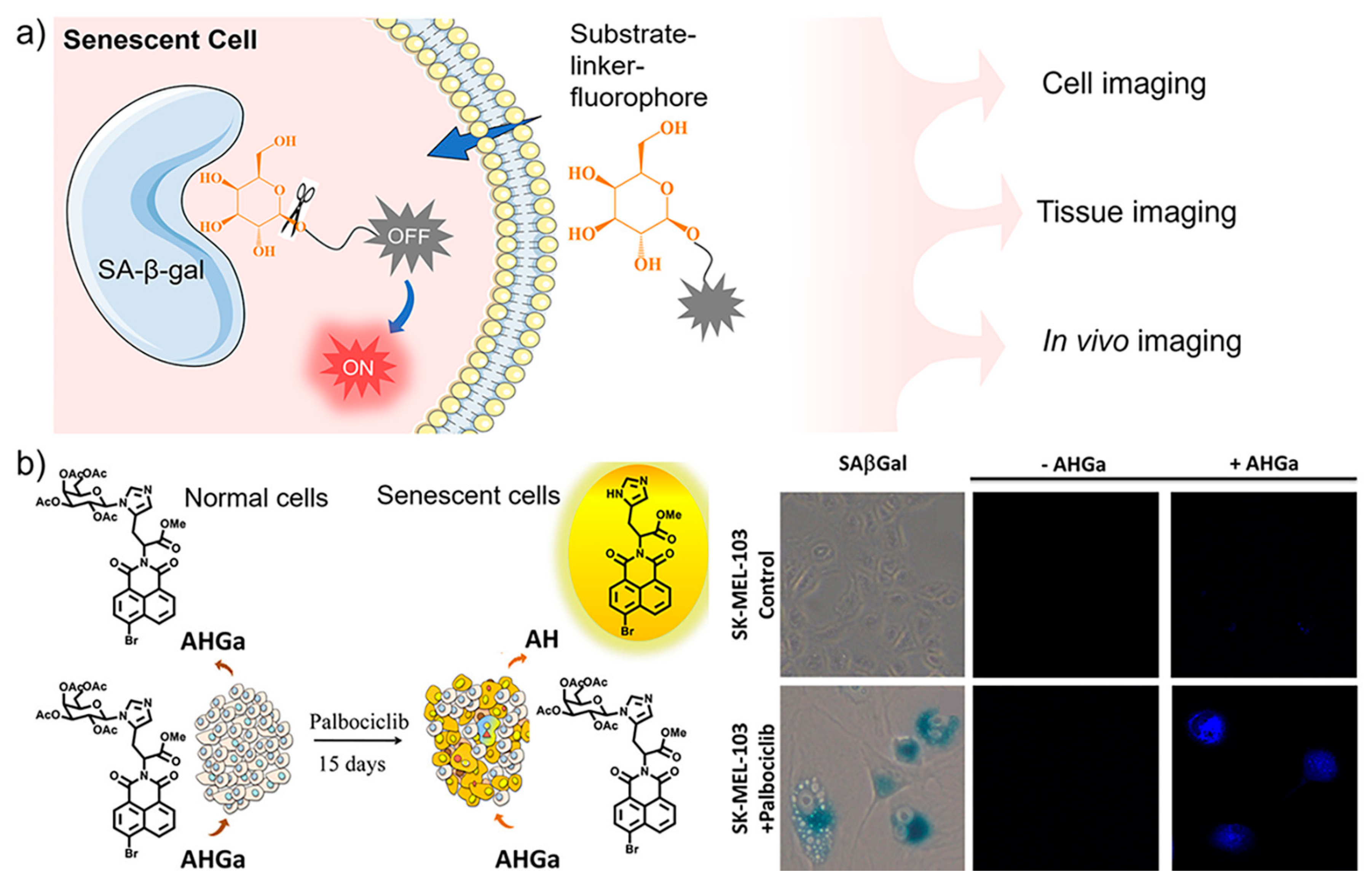 Biosensors 13 00838 g001 Biosensors 13 00838 g001