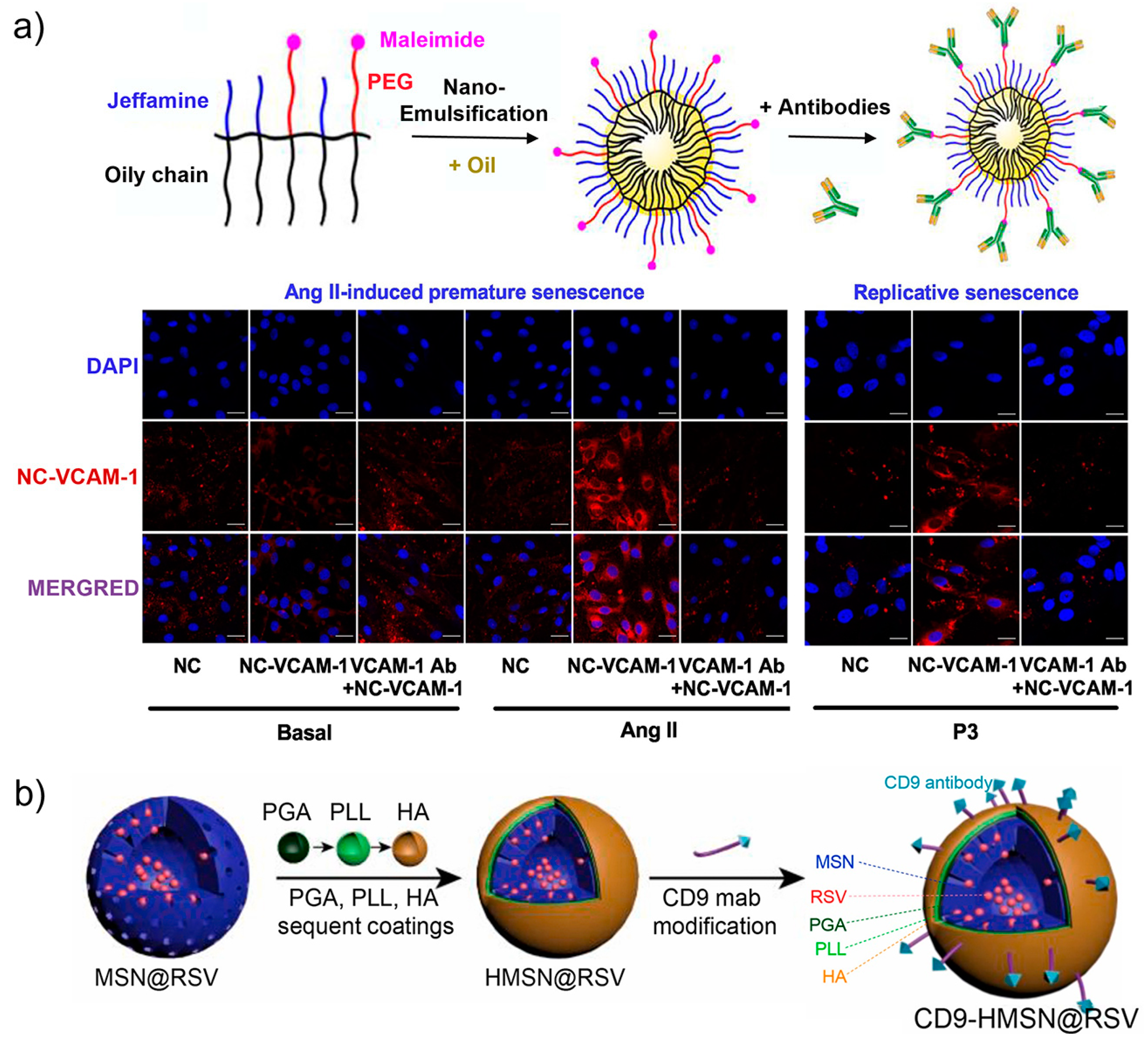 Biosensors 13 00838 g005 Biosensors 13 00838 g005