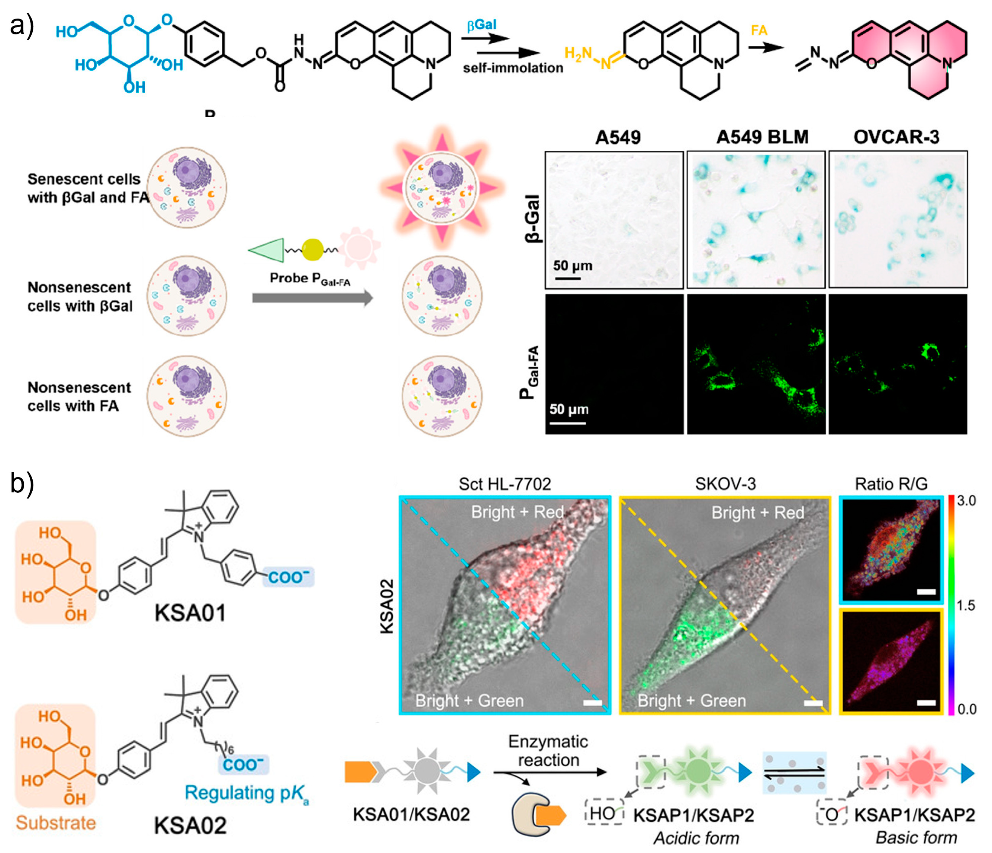 Biosensors 13 00838 g009 Biosensors 13 00838 g009